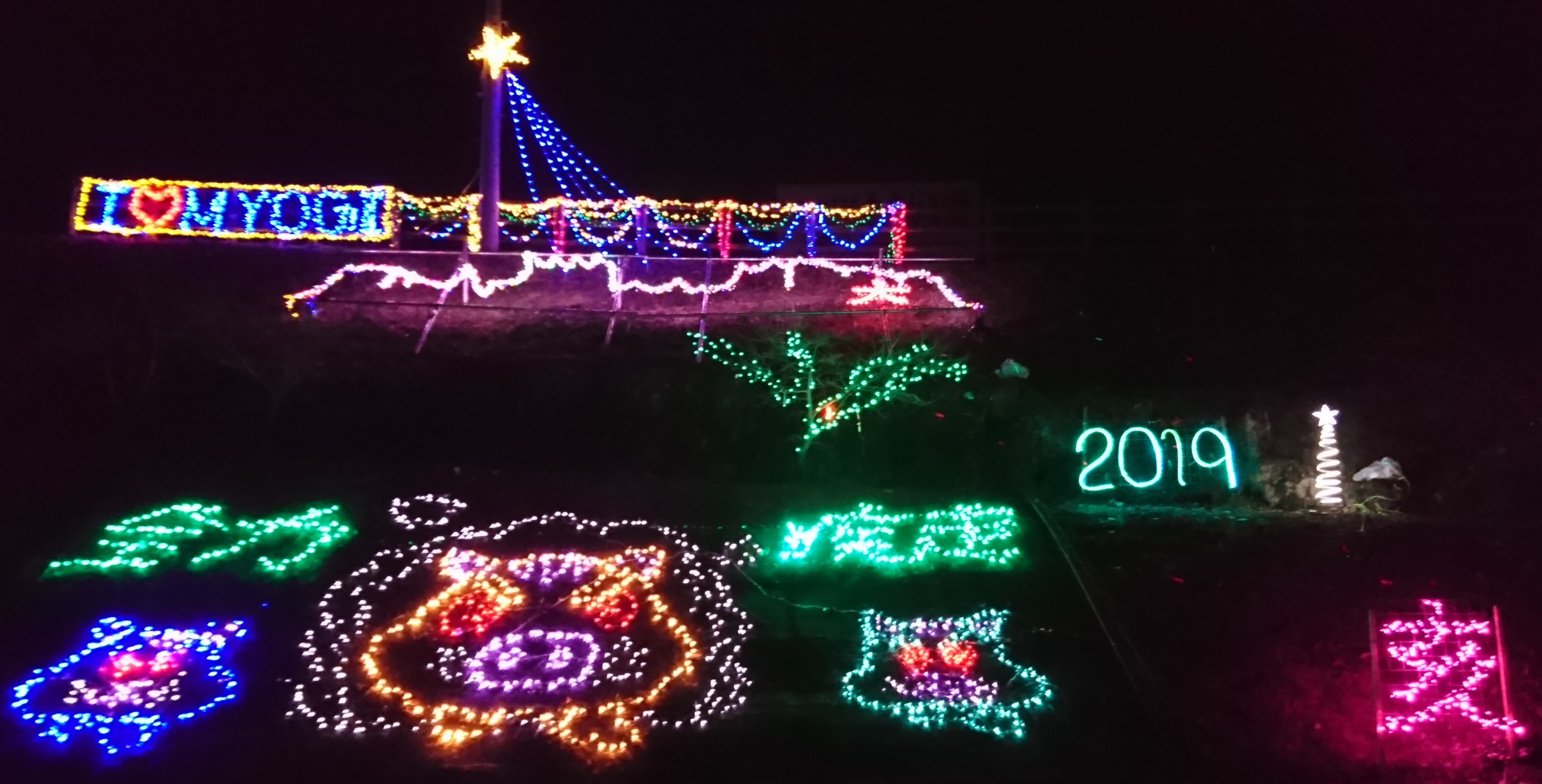2019年