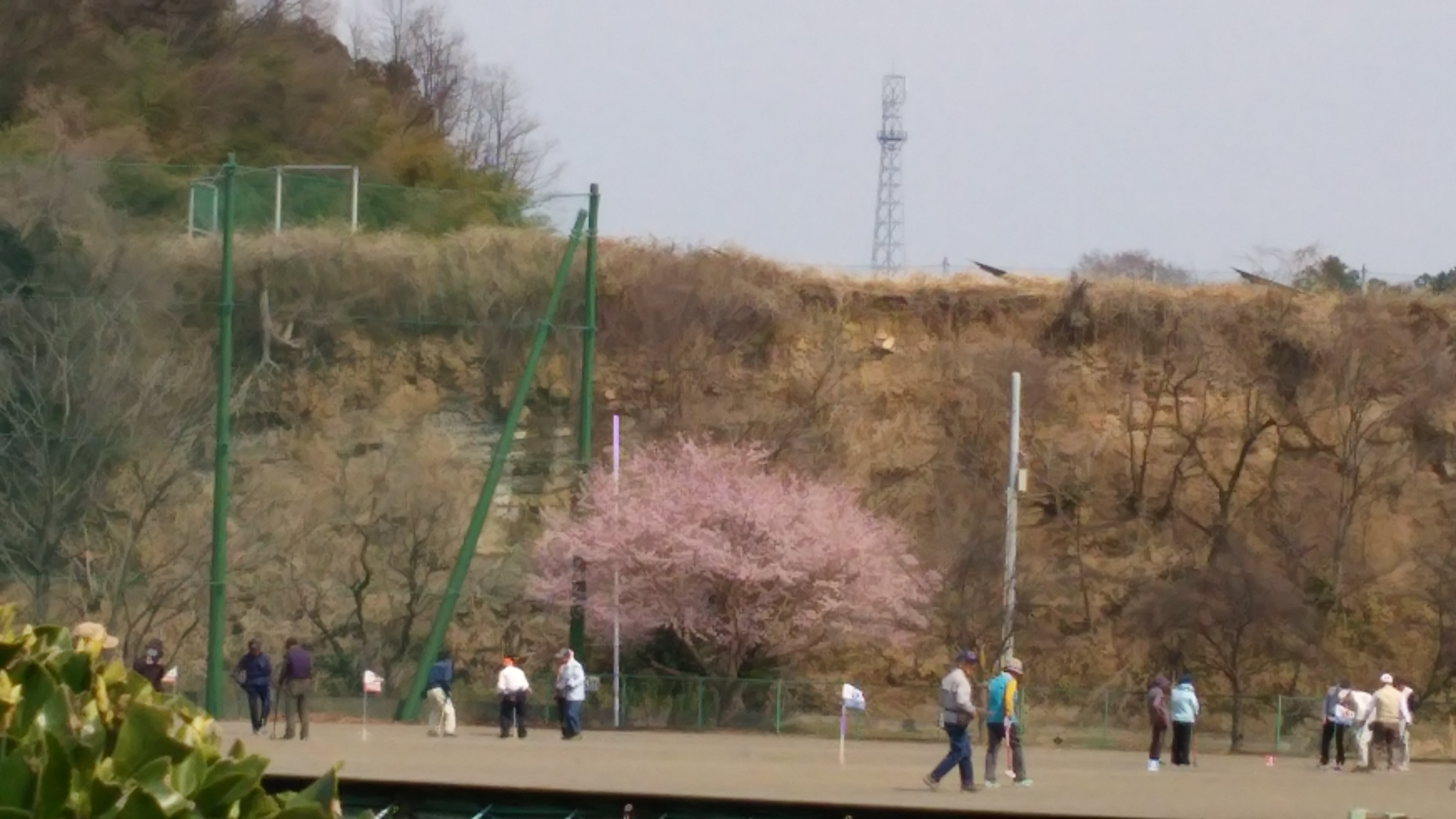 地域の皆様