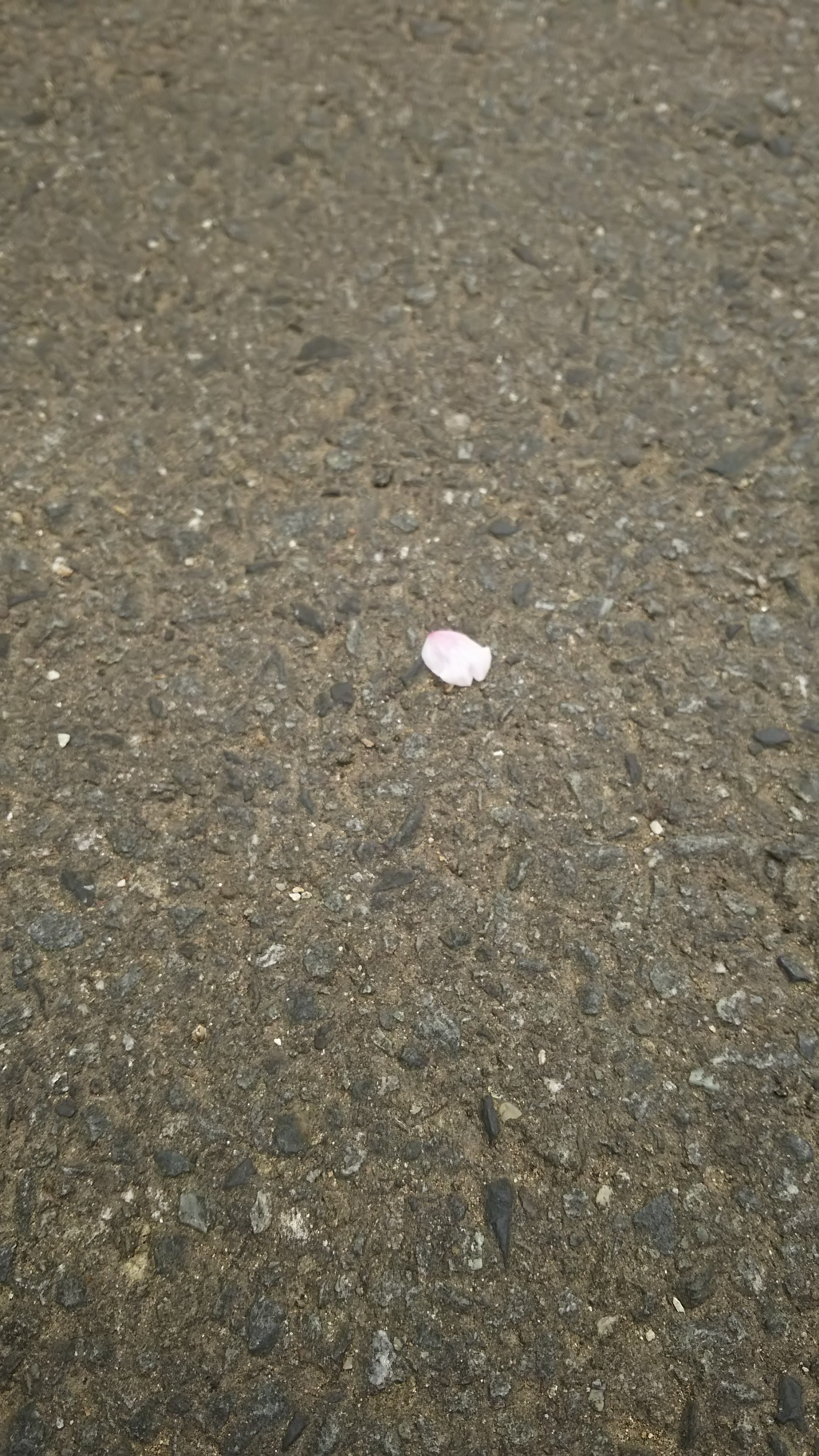 あっという間