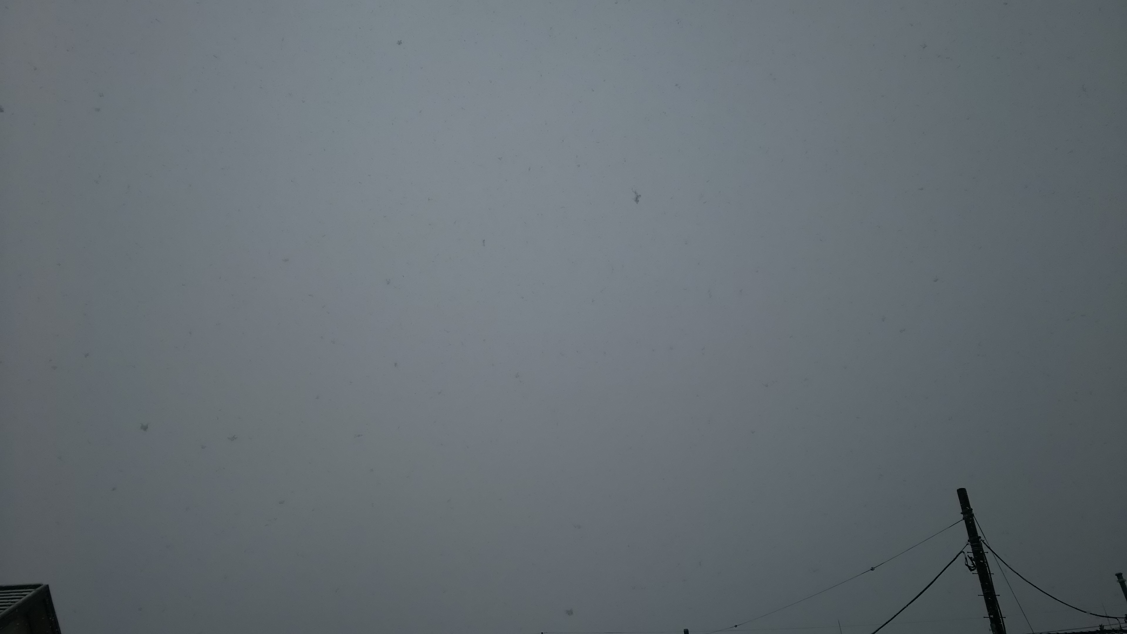 雪