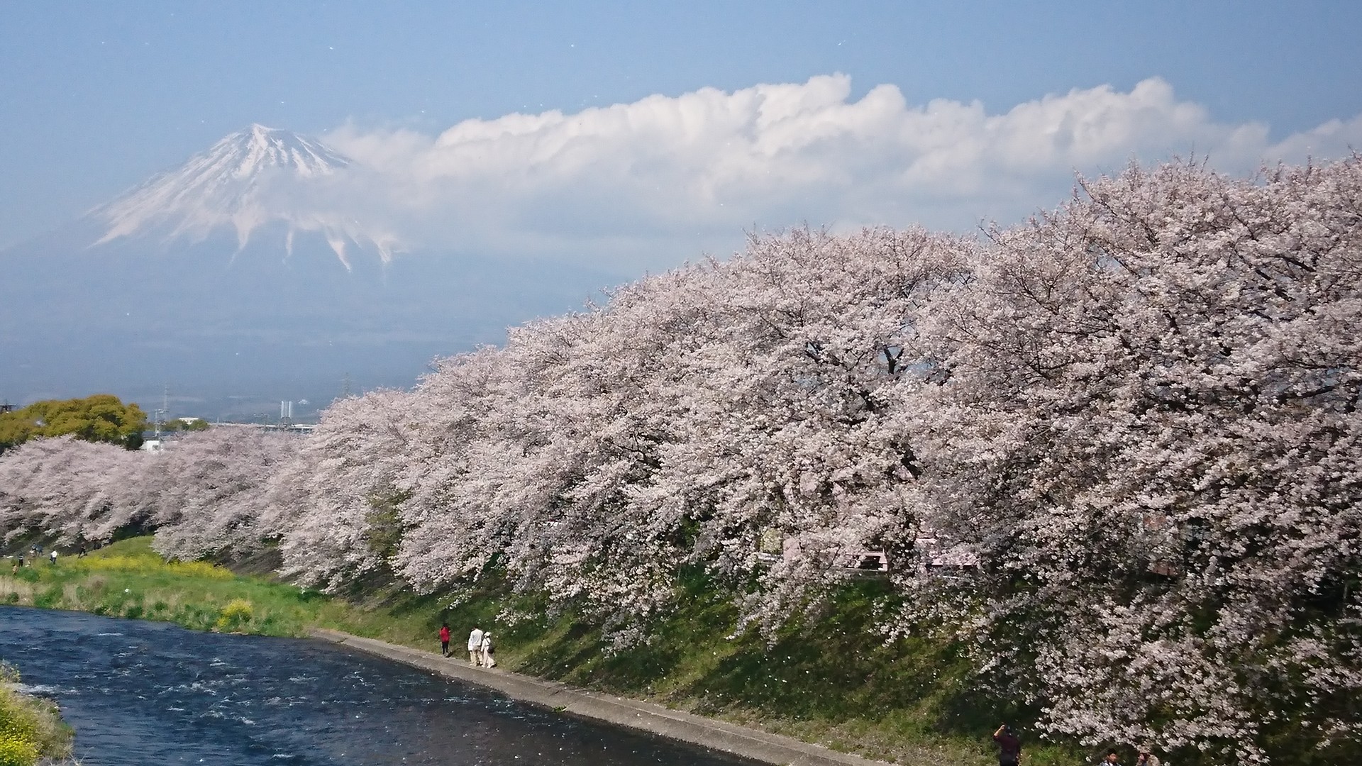 ポカポカ陽気♪♪