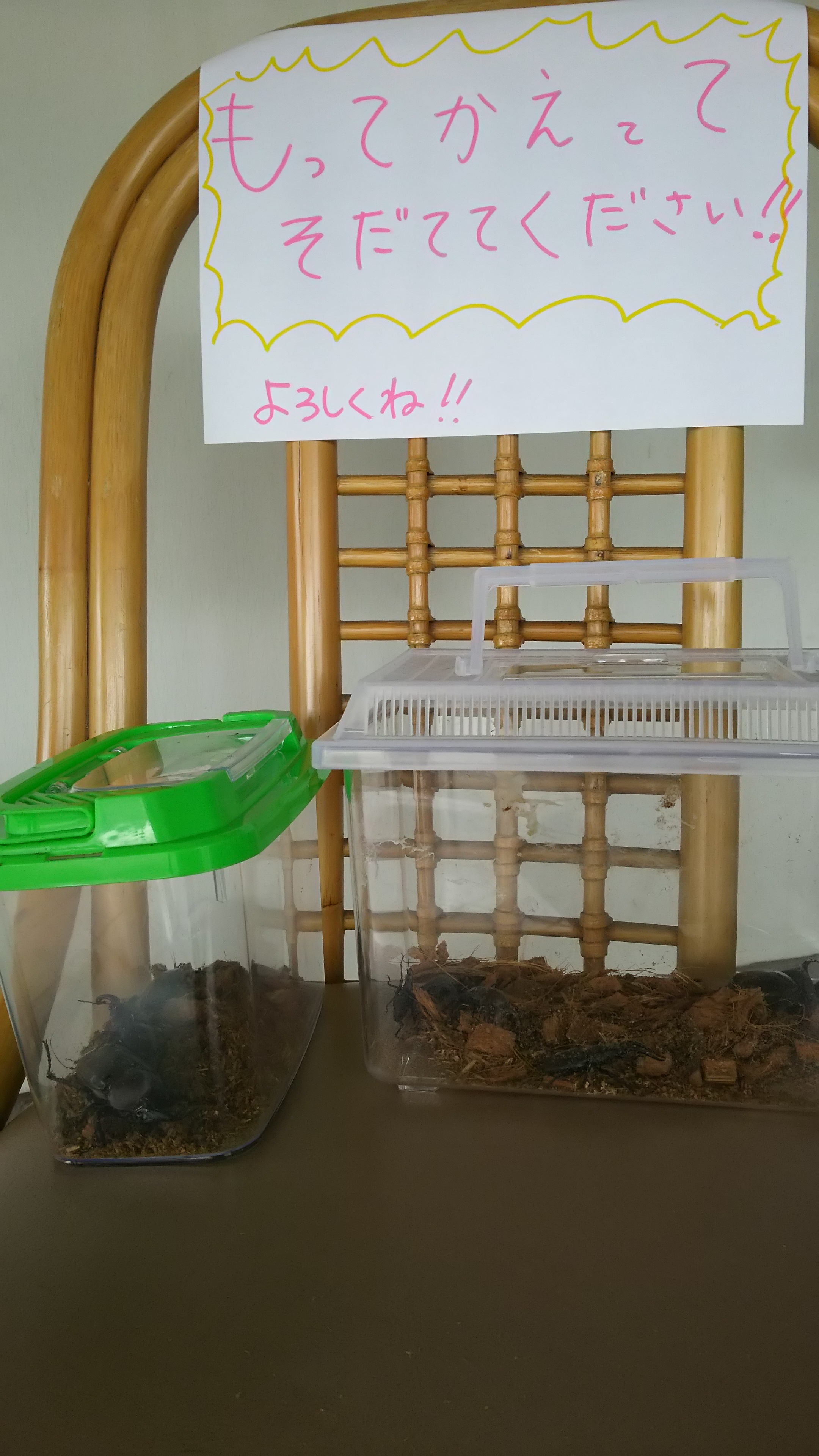 プレゼント