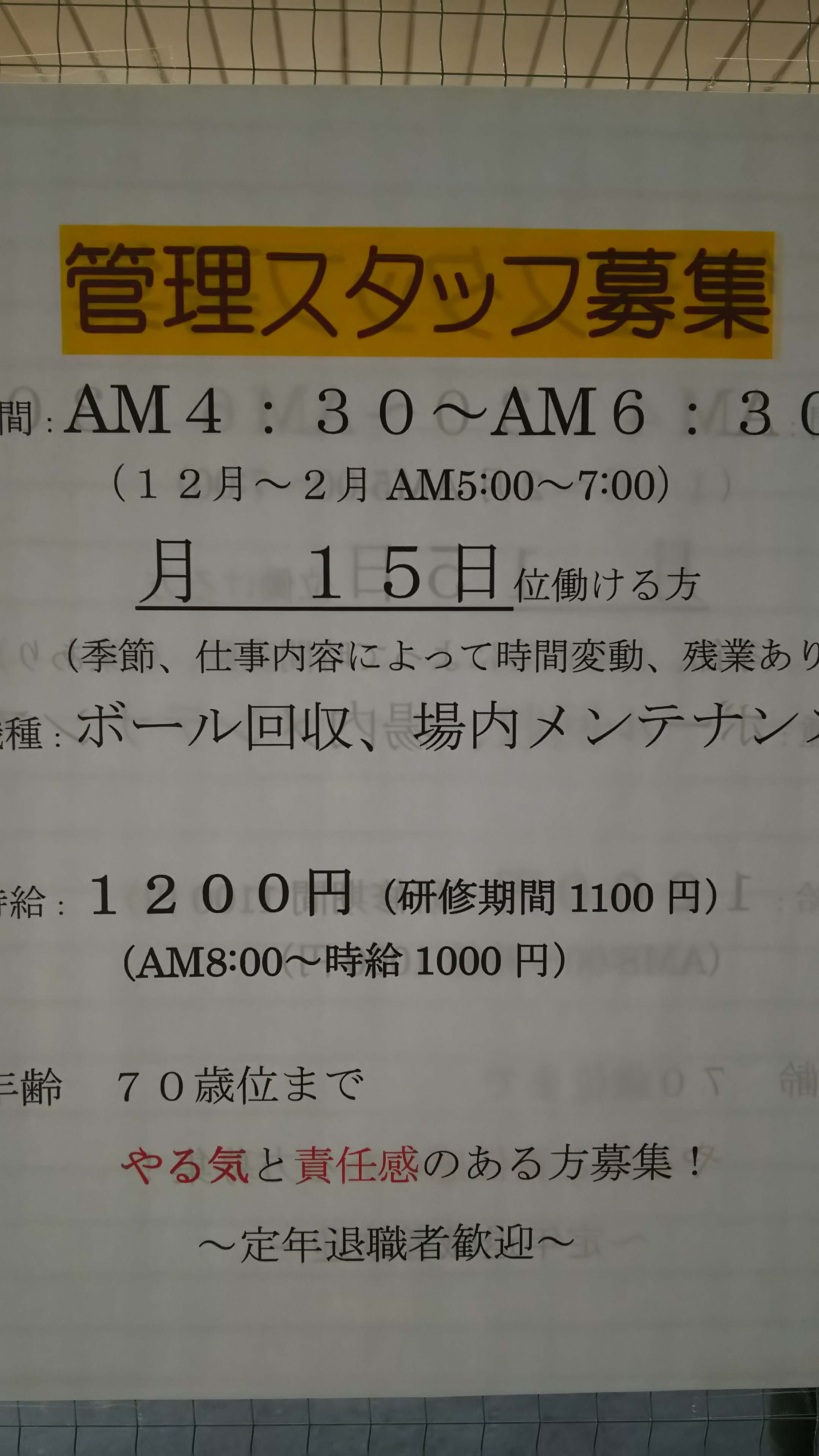 スタッフ募集