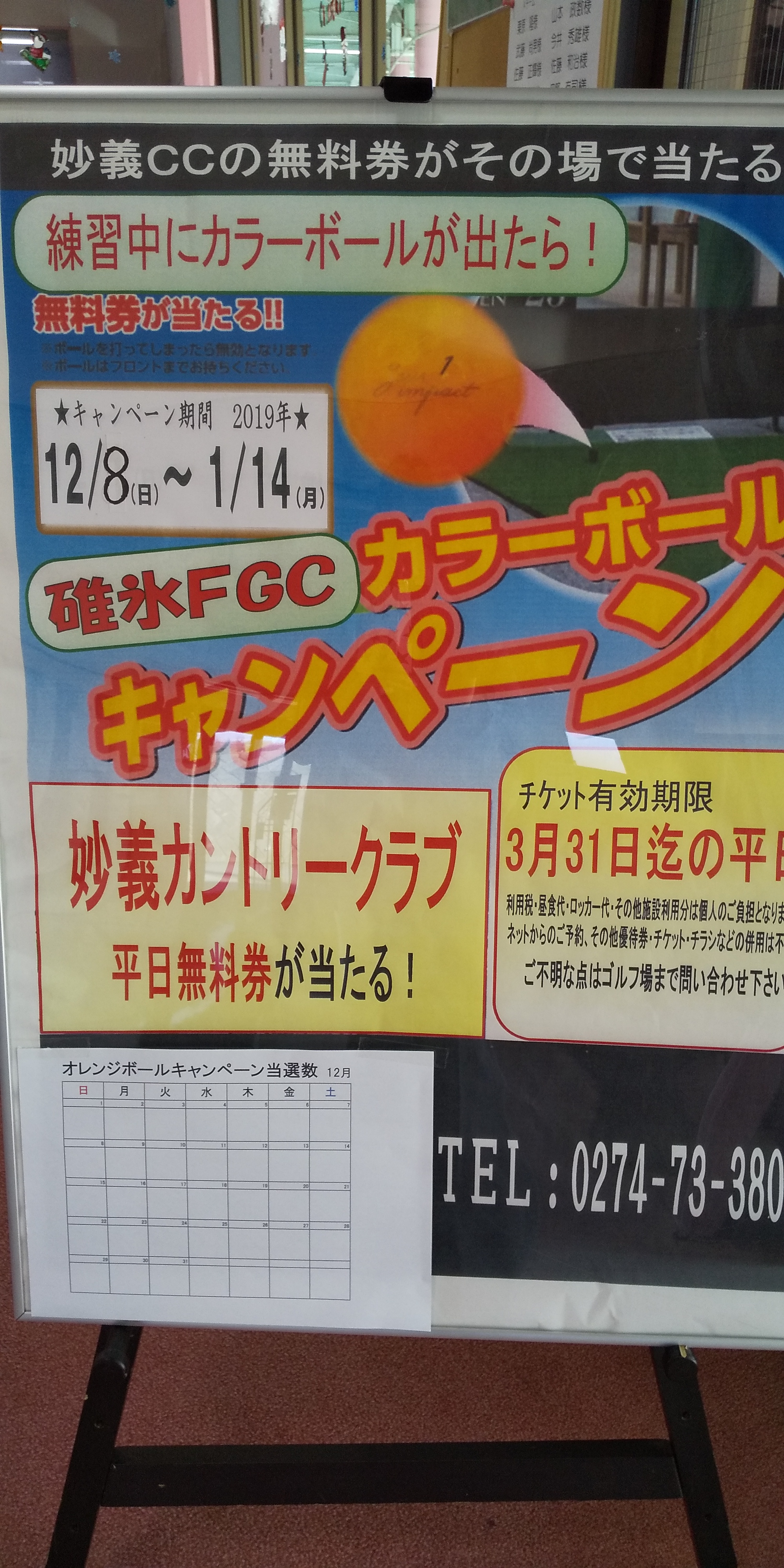 オレンジボール