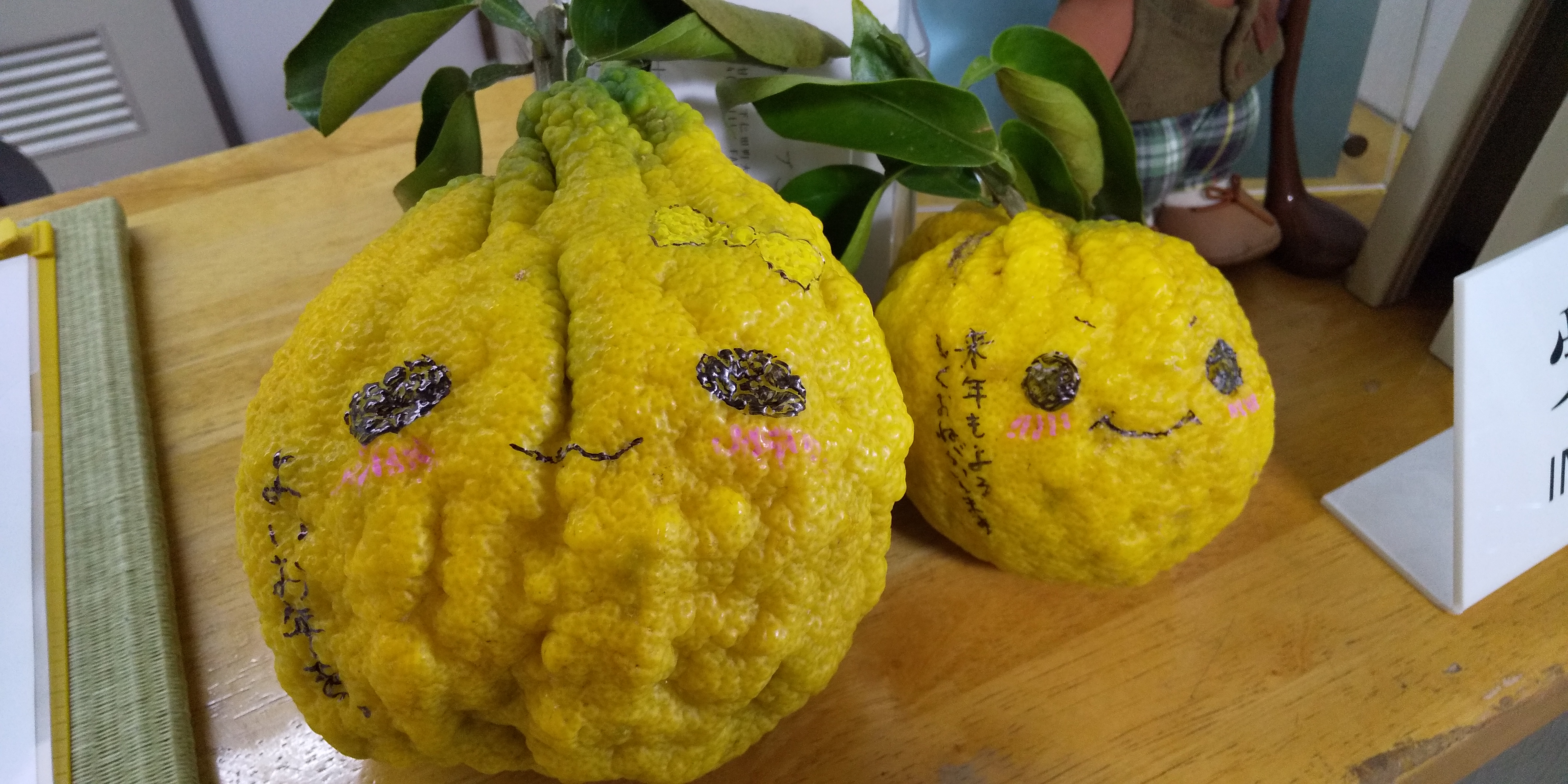 恒例の…