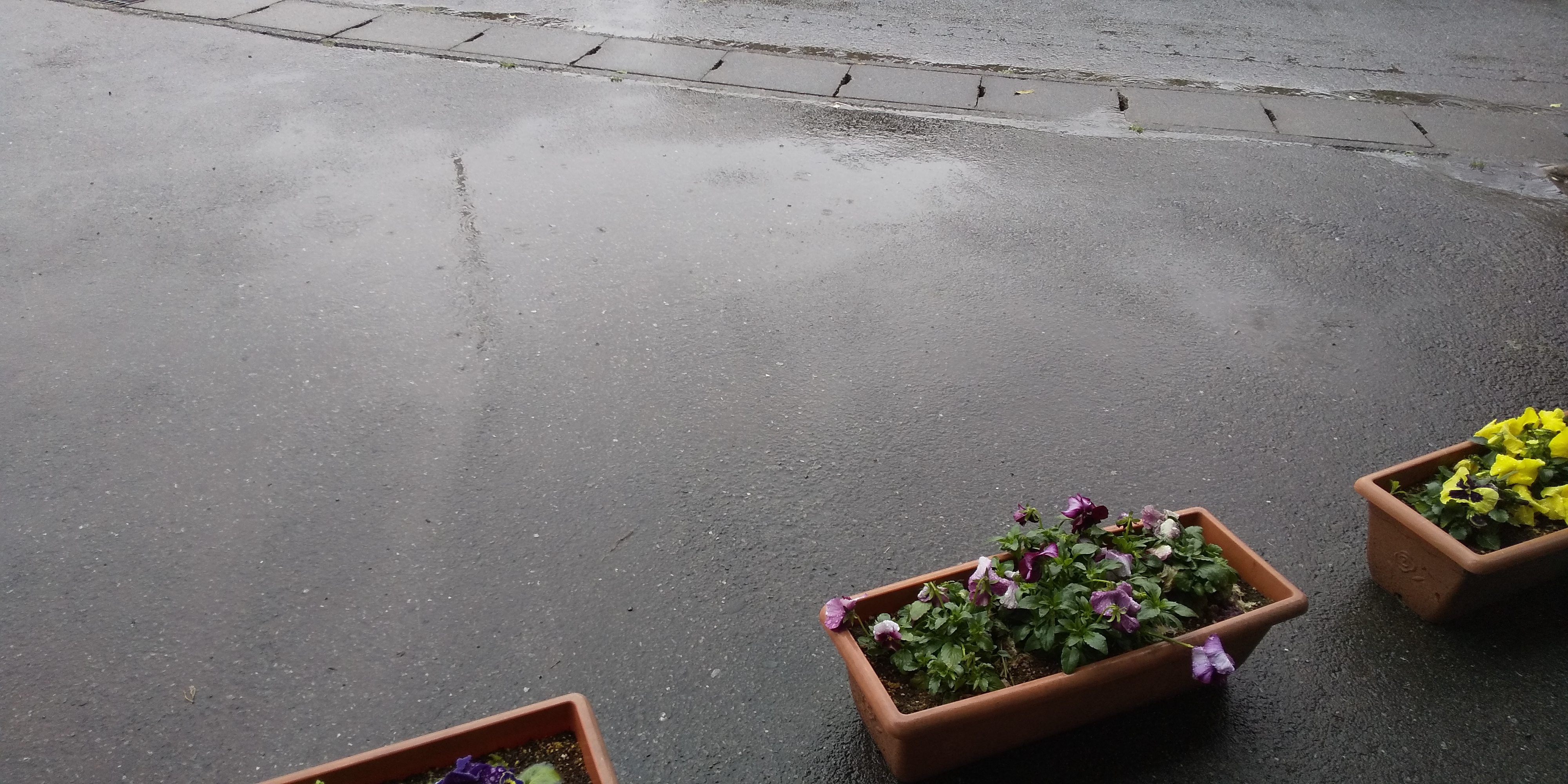 雨