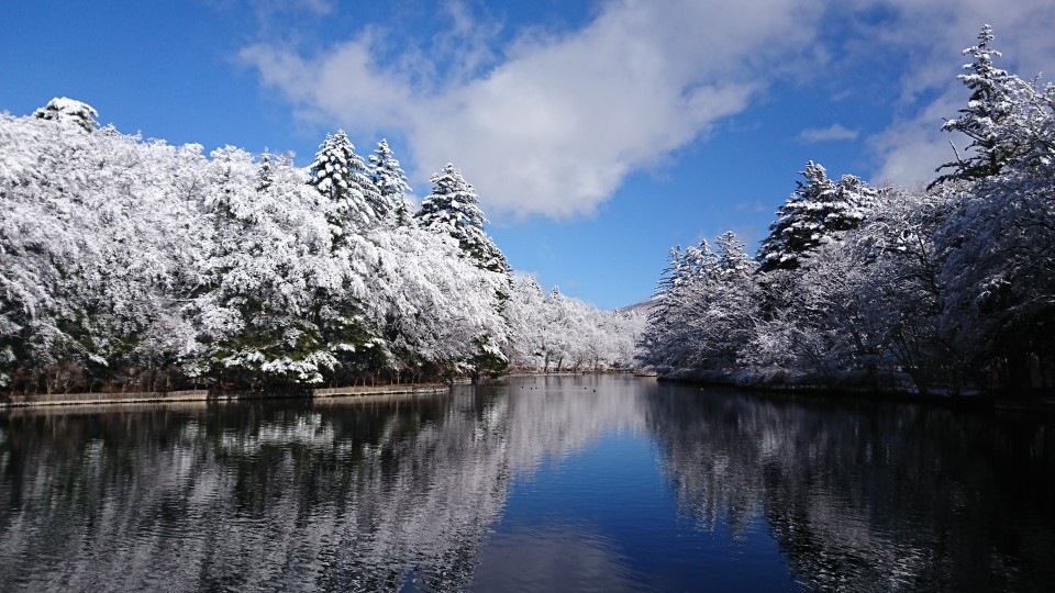 彼岸入り