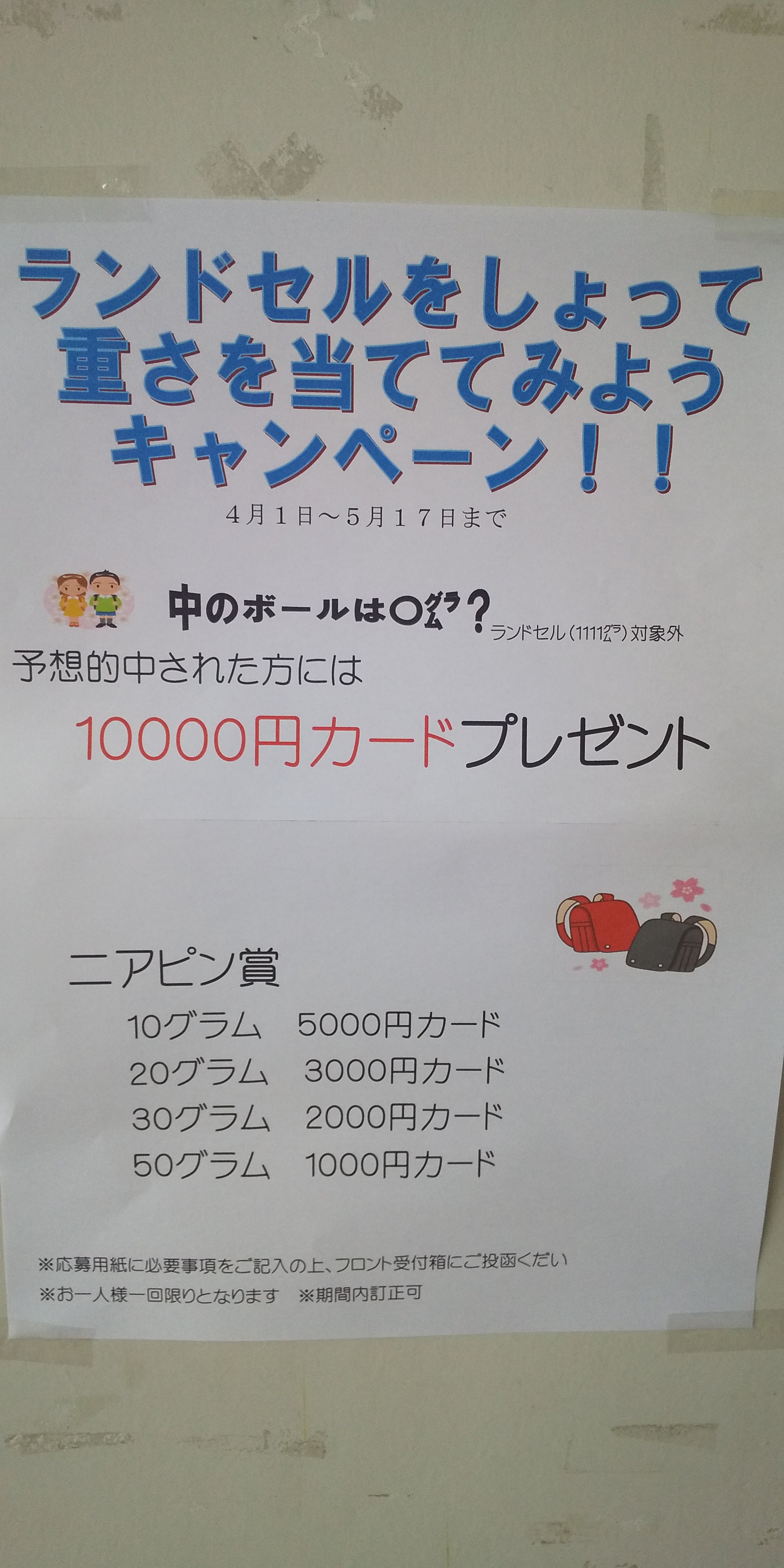 キャンペーン