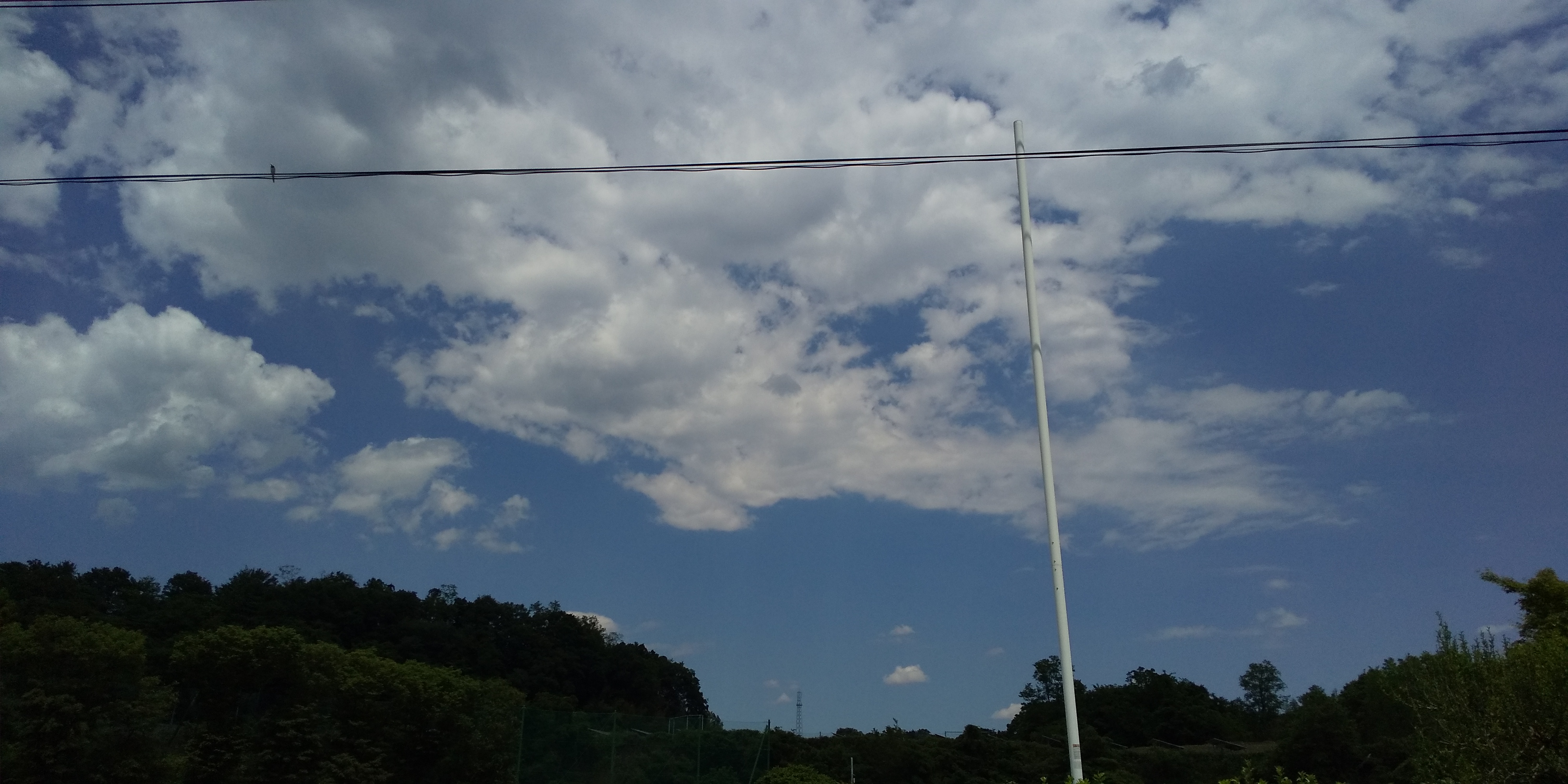 ６月からは