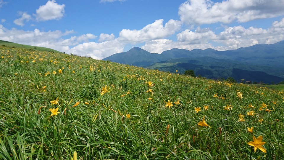 霧ヶ峰‼