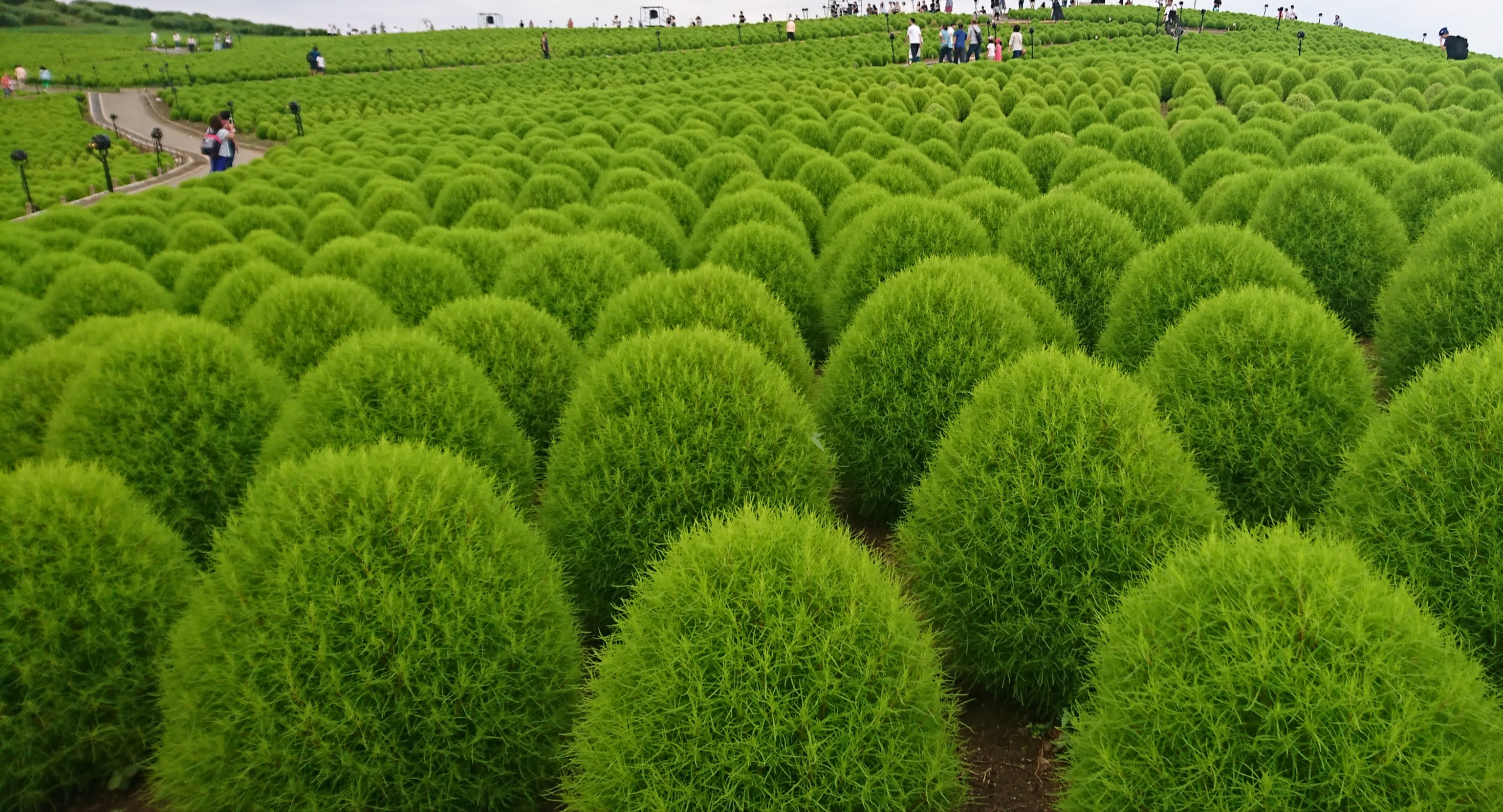 秋分の日