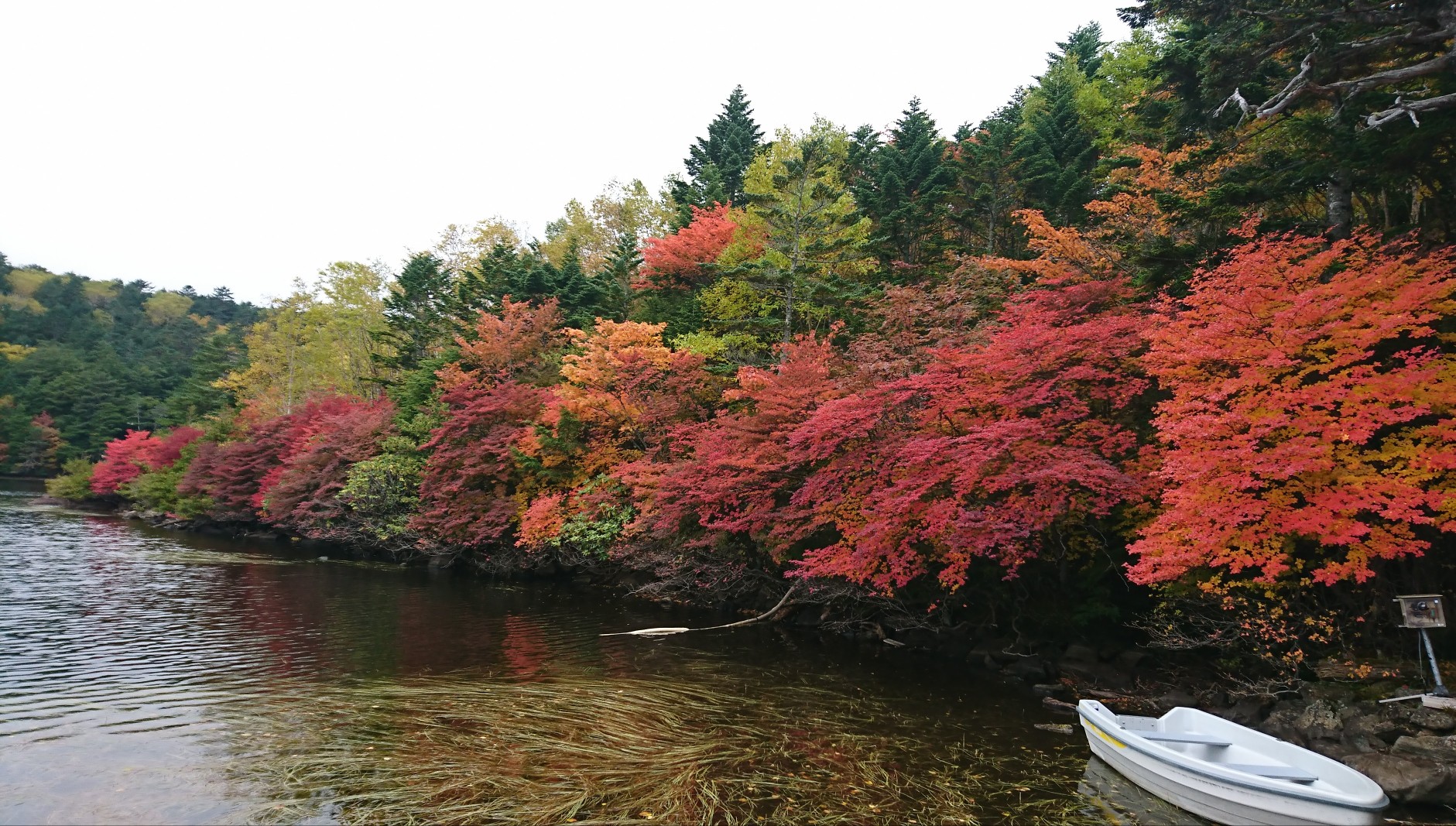 紅葉♪♪