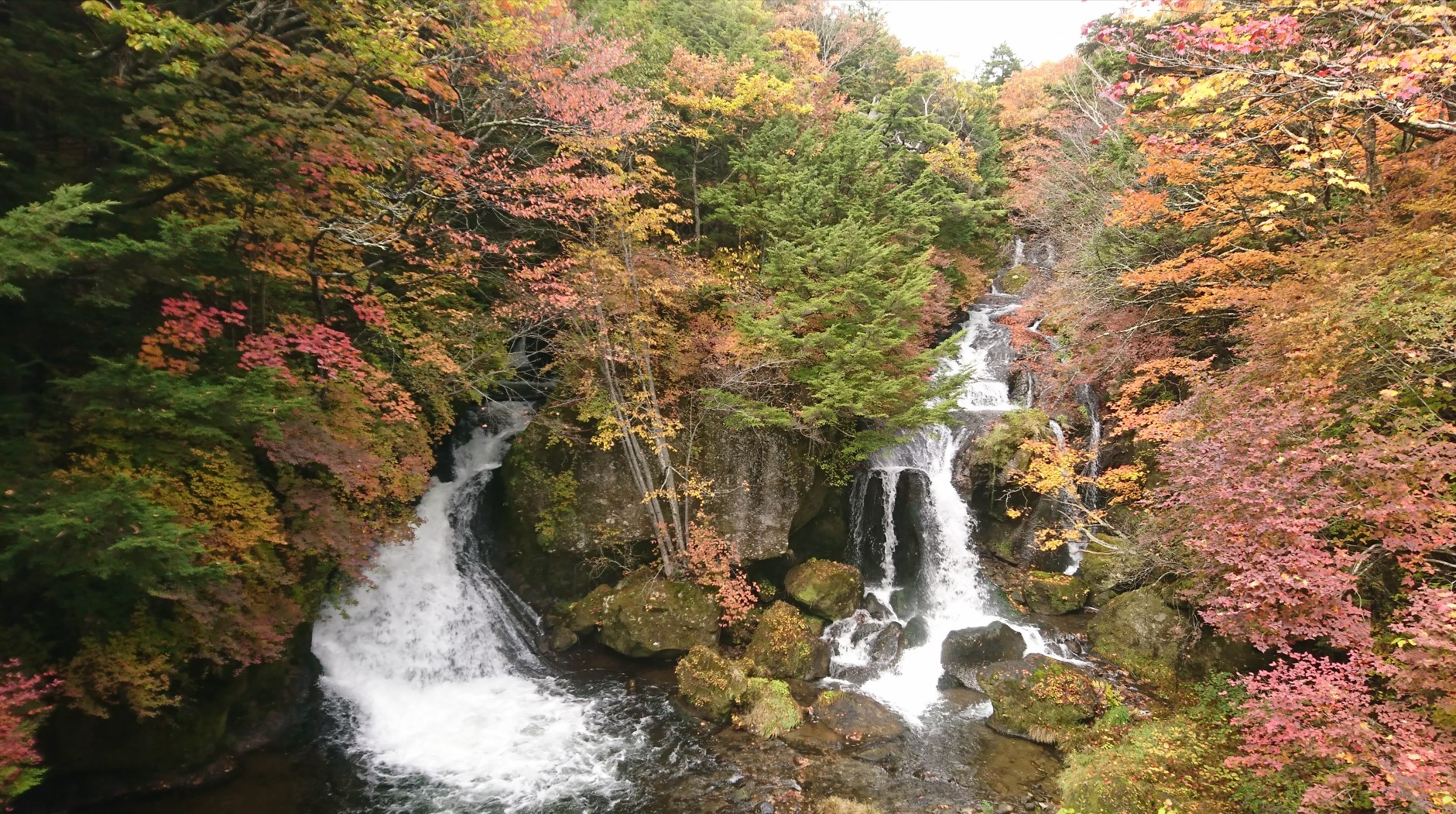竜頭の滝‼