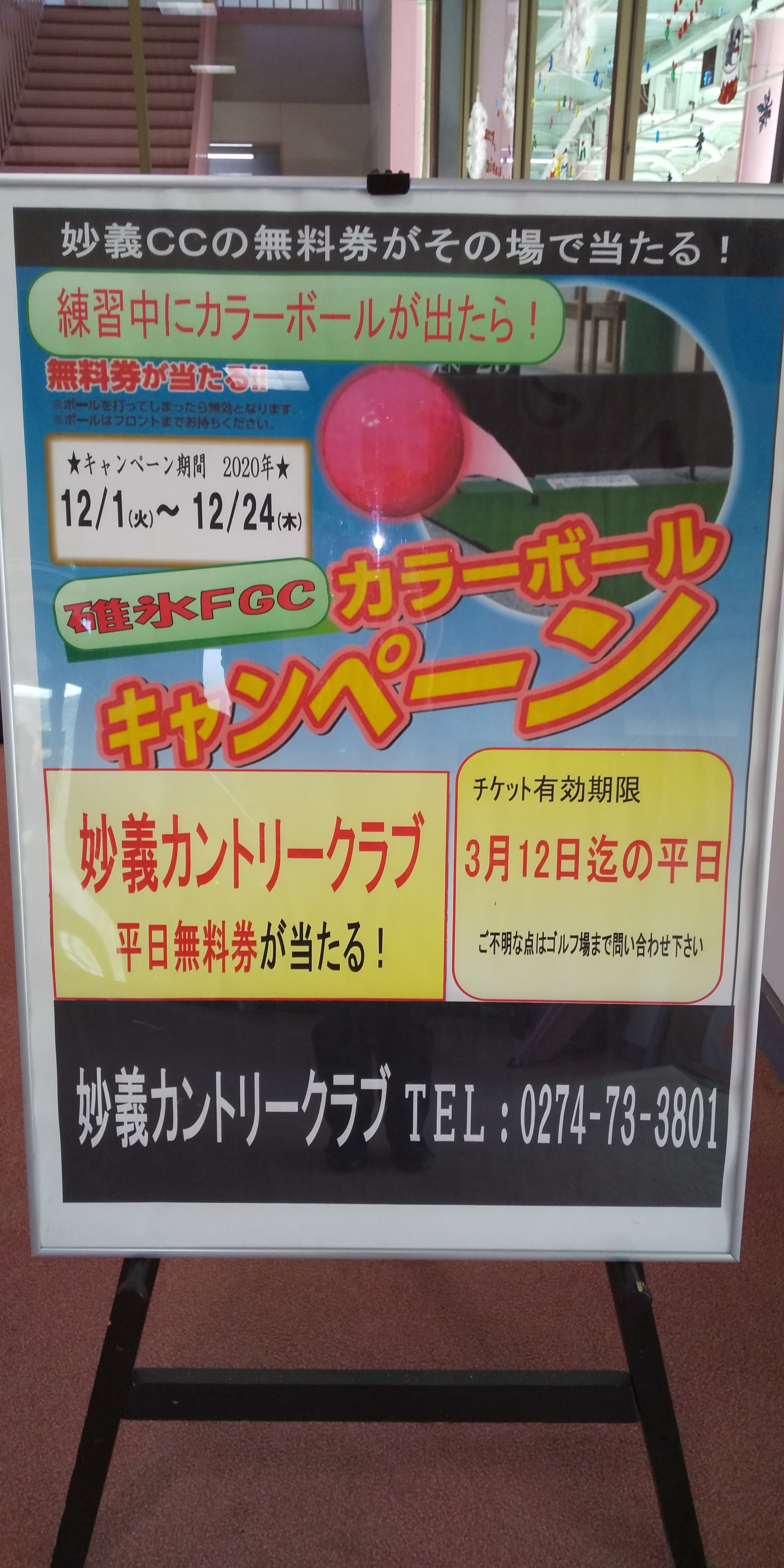 キャンペーン