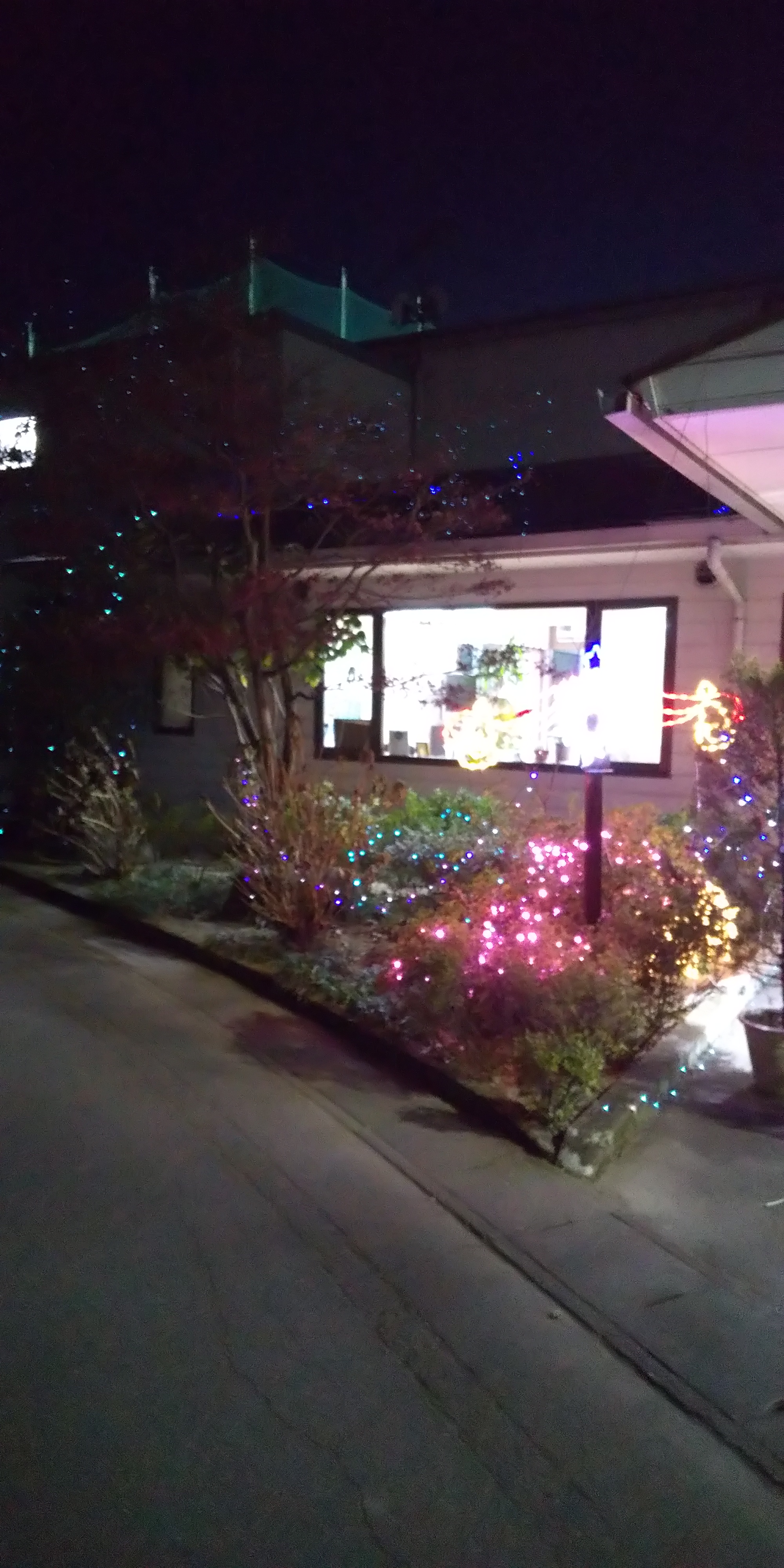 イルミネーション