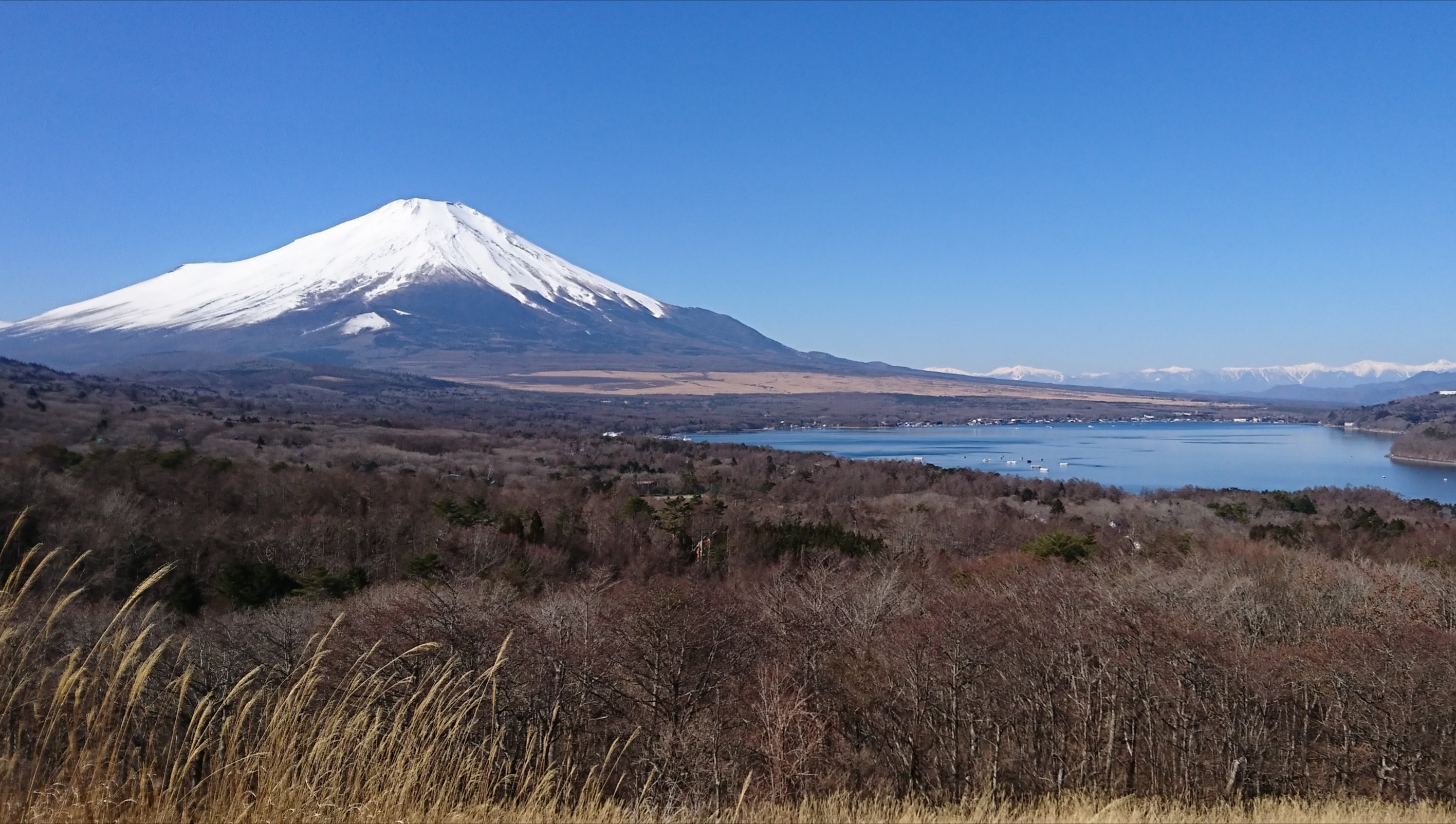 春の嵐？