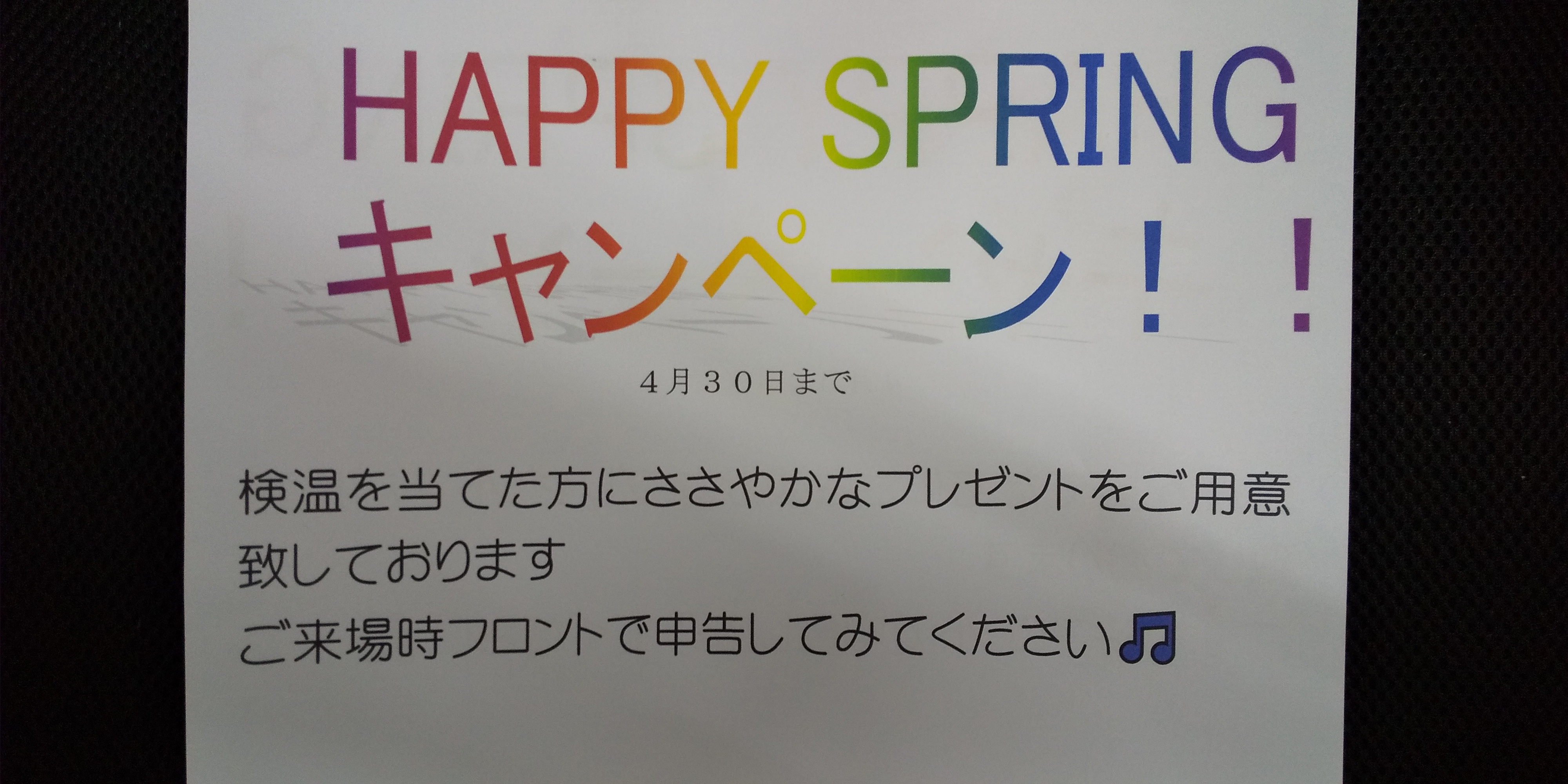 スプリングキャンペーン