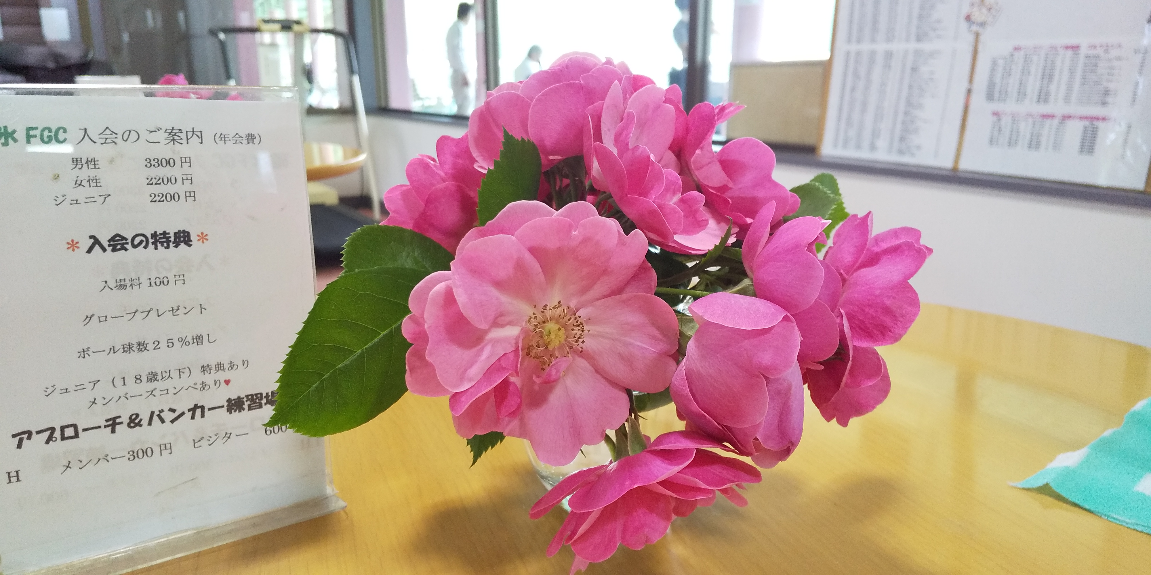 除菌シスターズ