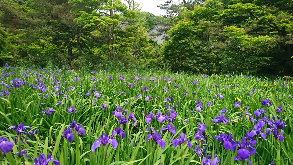 今日から6月‼