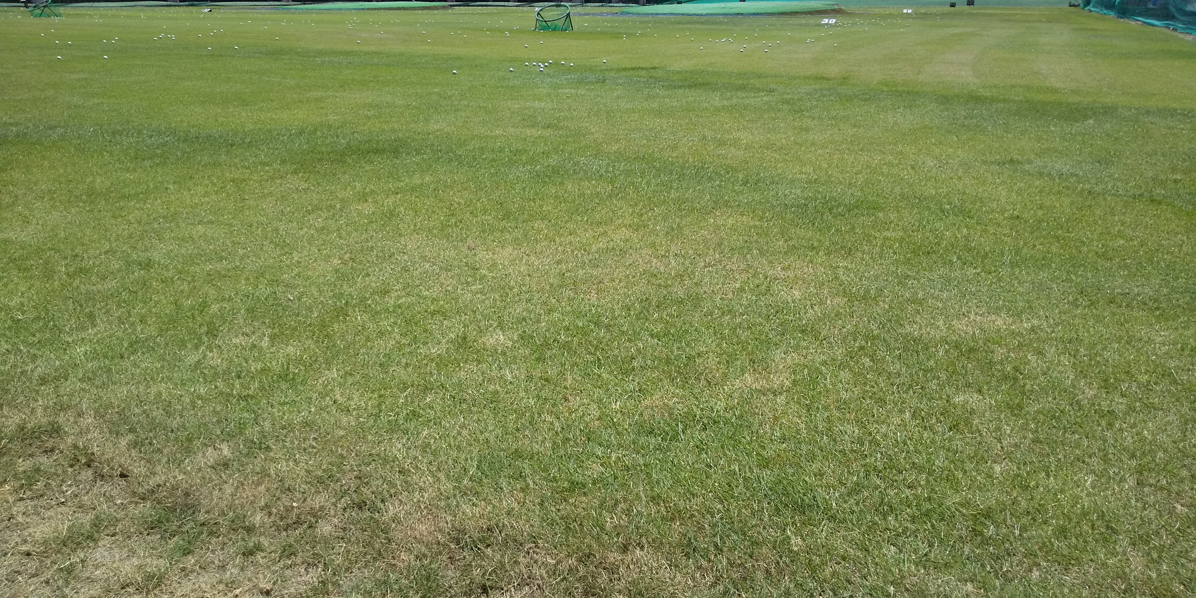 芝刈り
