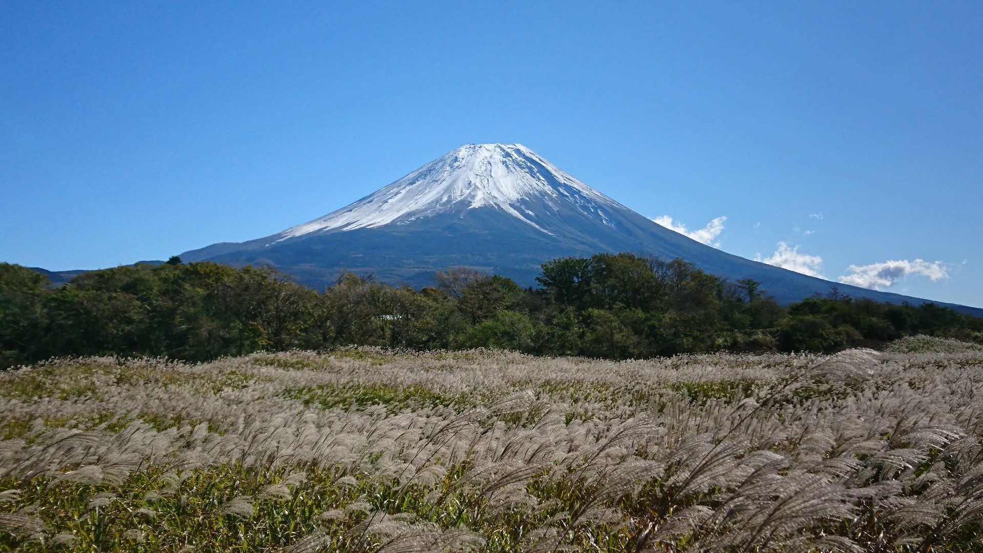 富士山‼