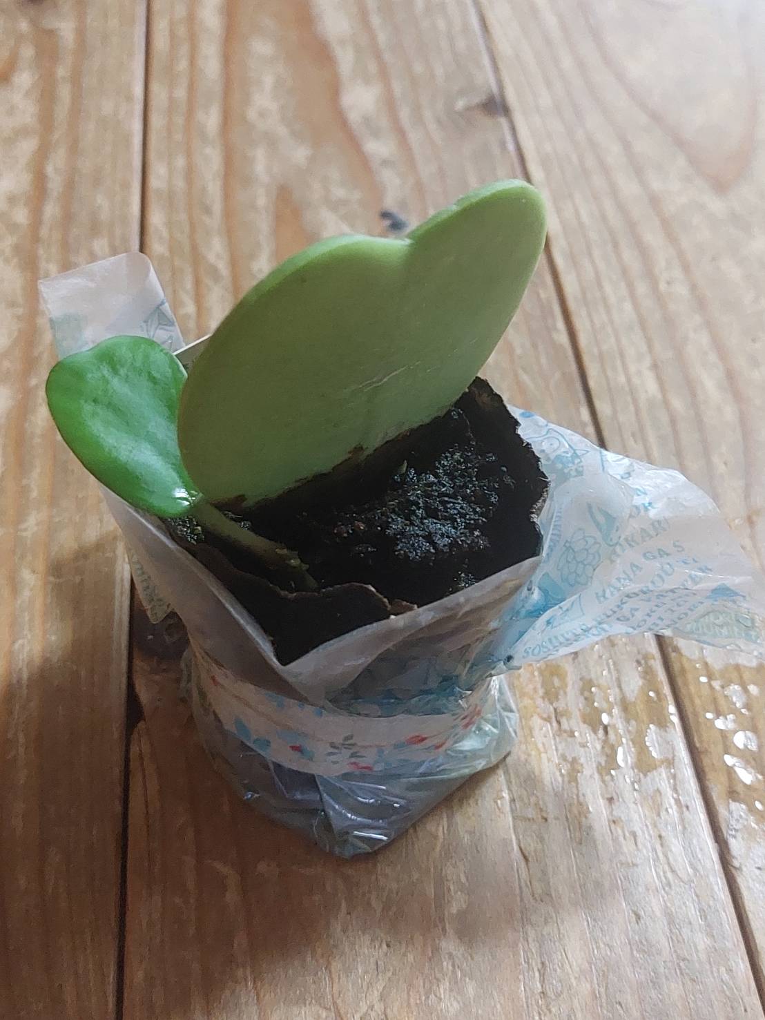 昔の…