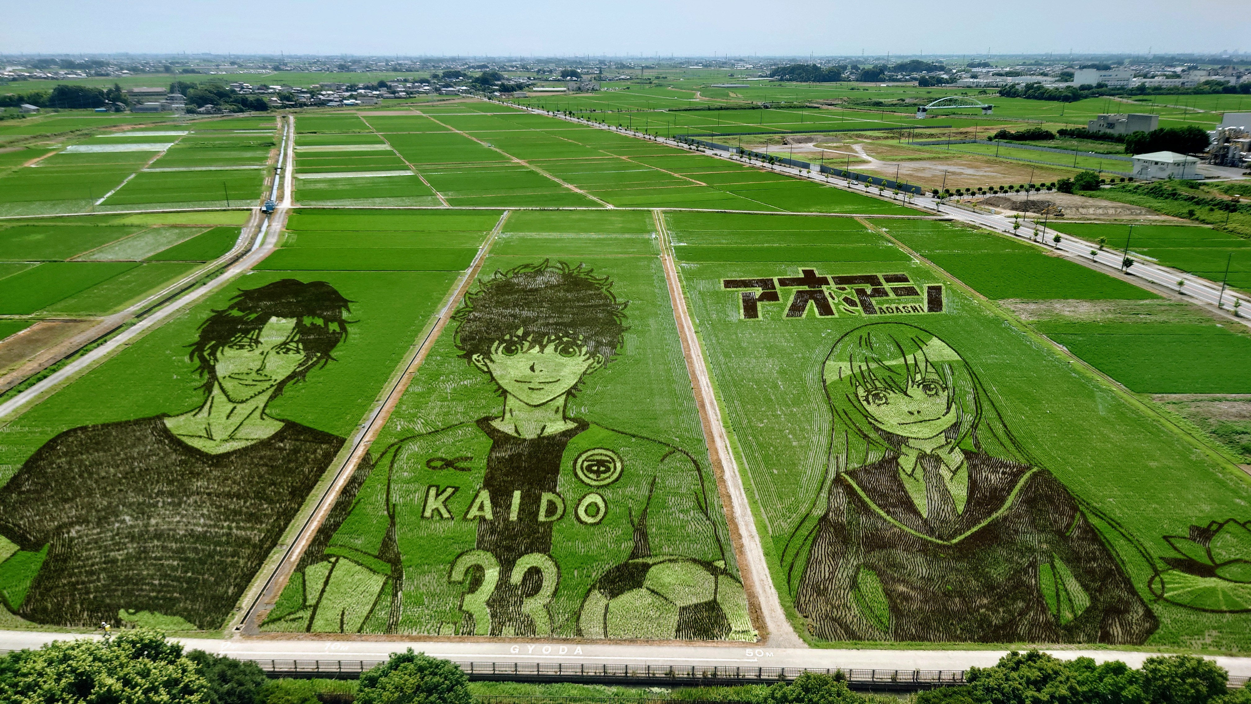 田んぼアート‼