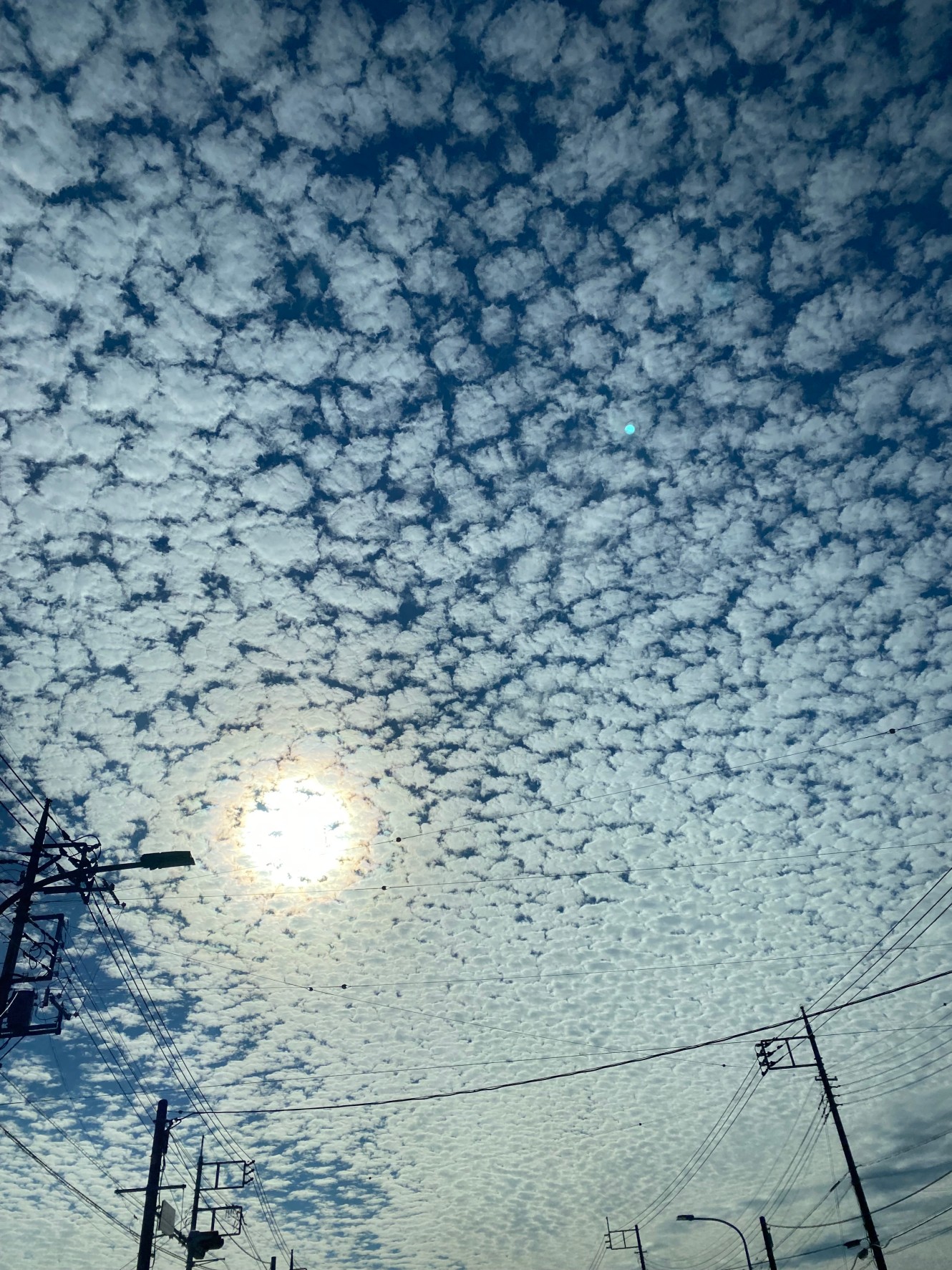 イワシ曇