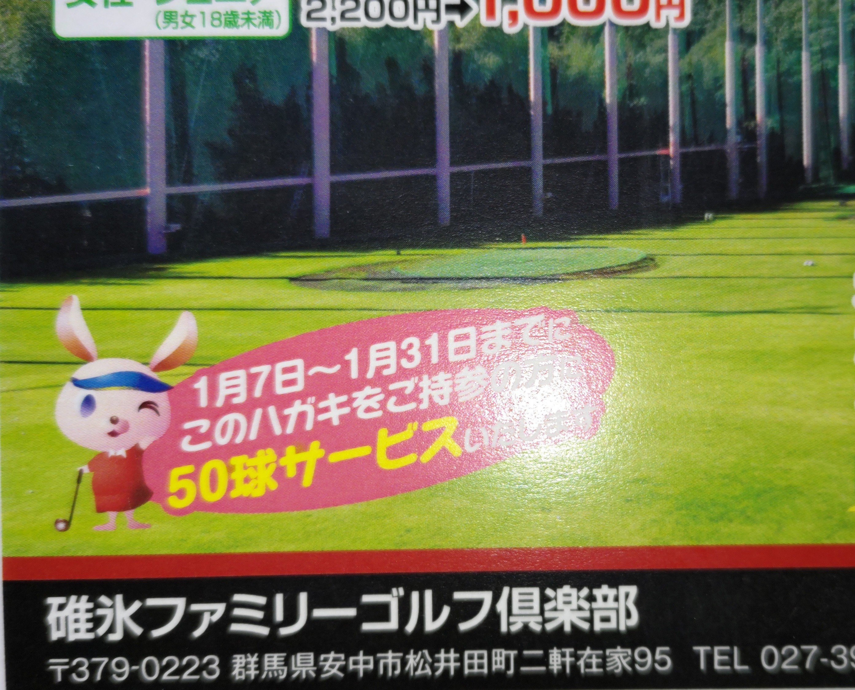 プレゼント