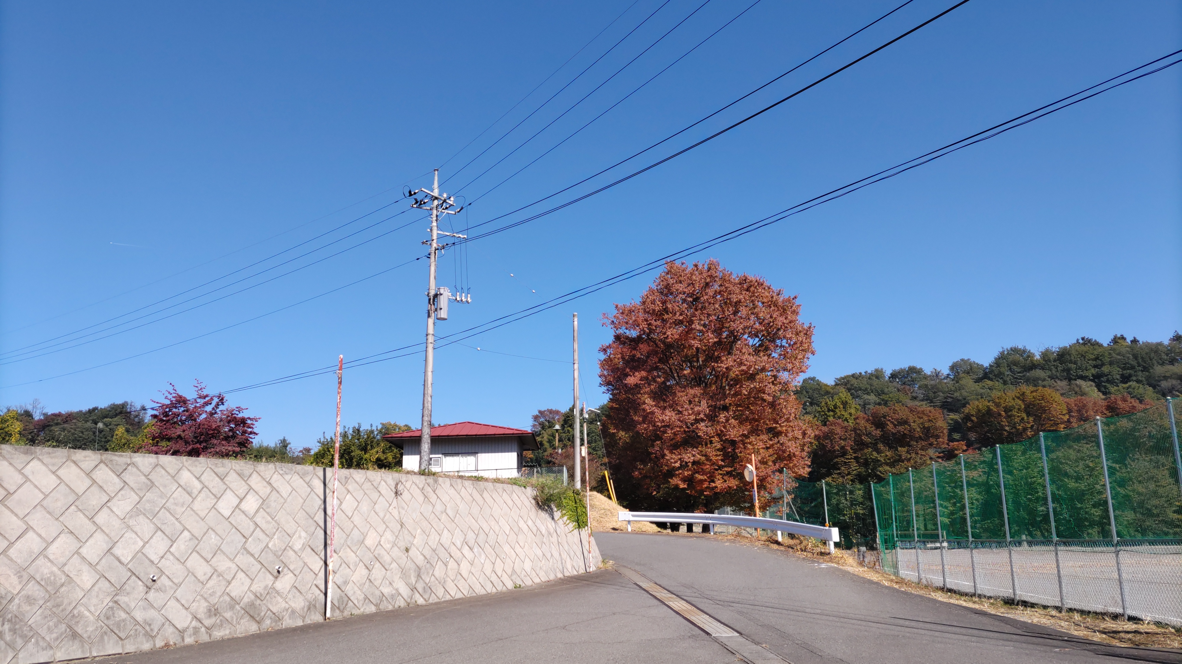 １１月１日
