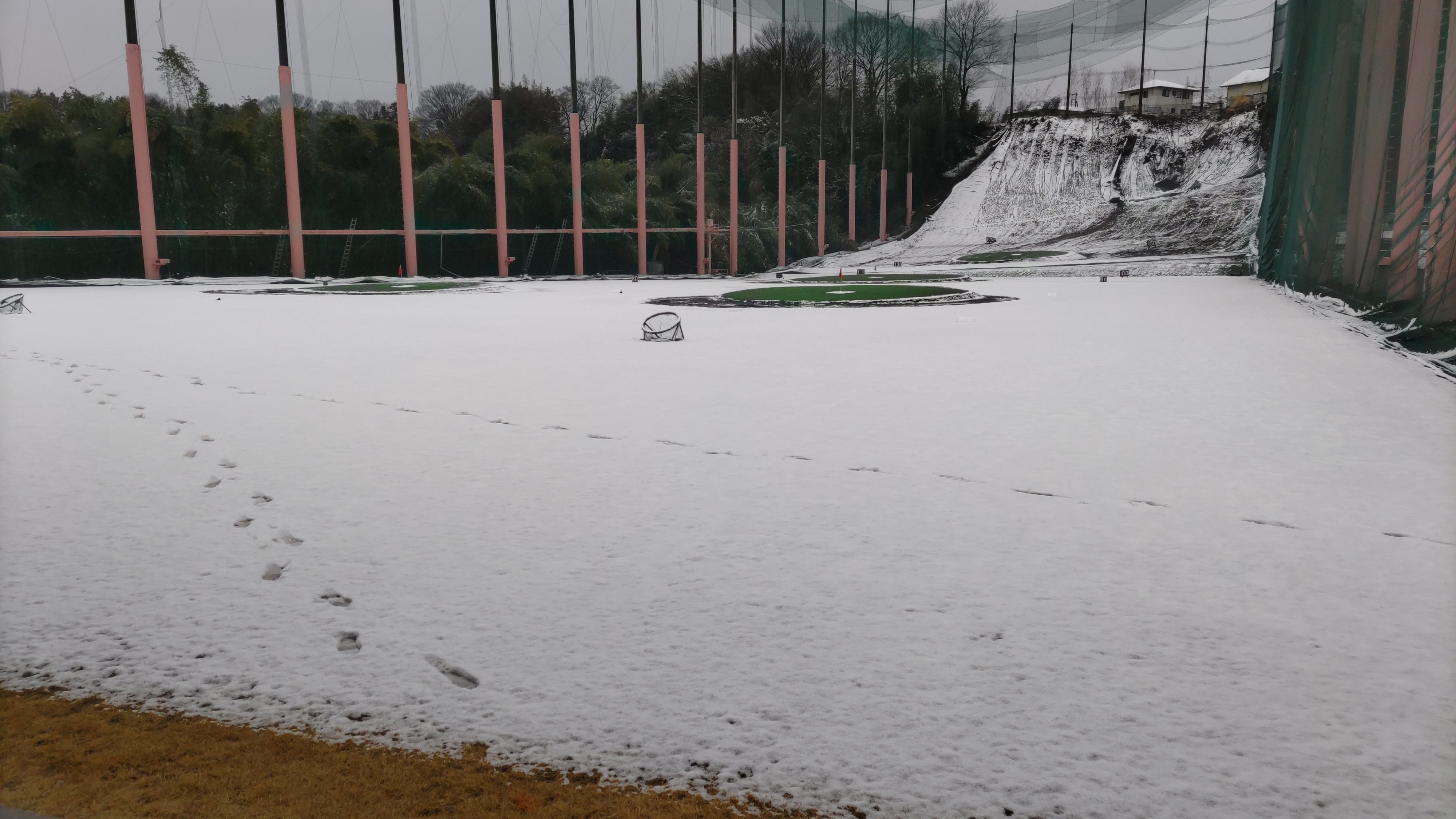 ６日休場