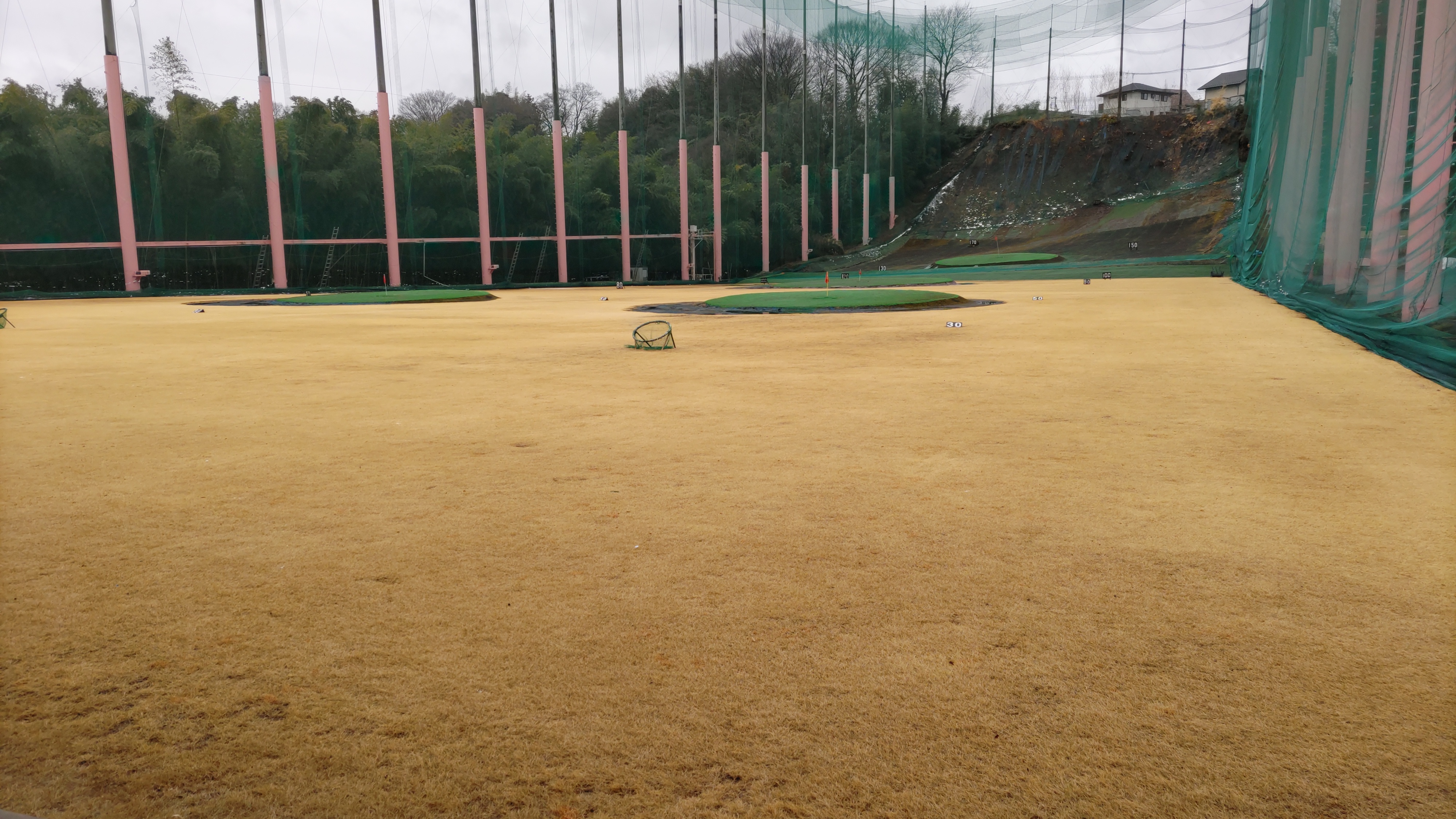７日９時より営業