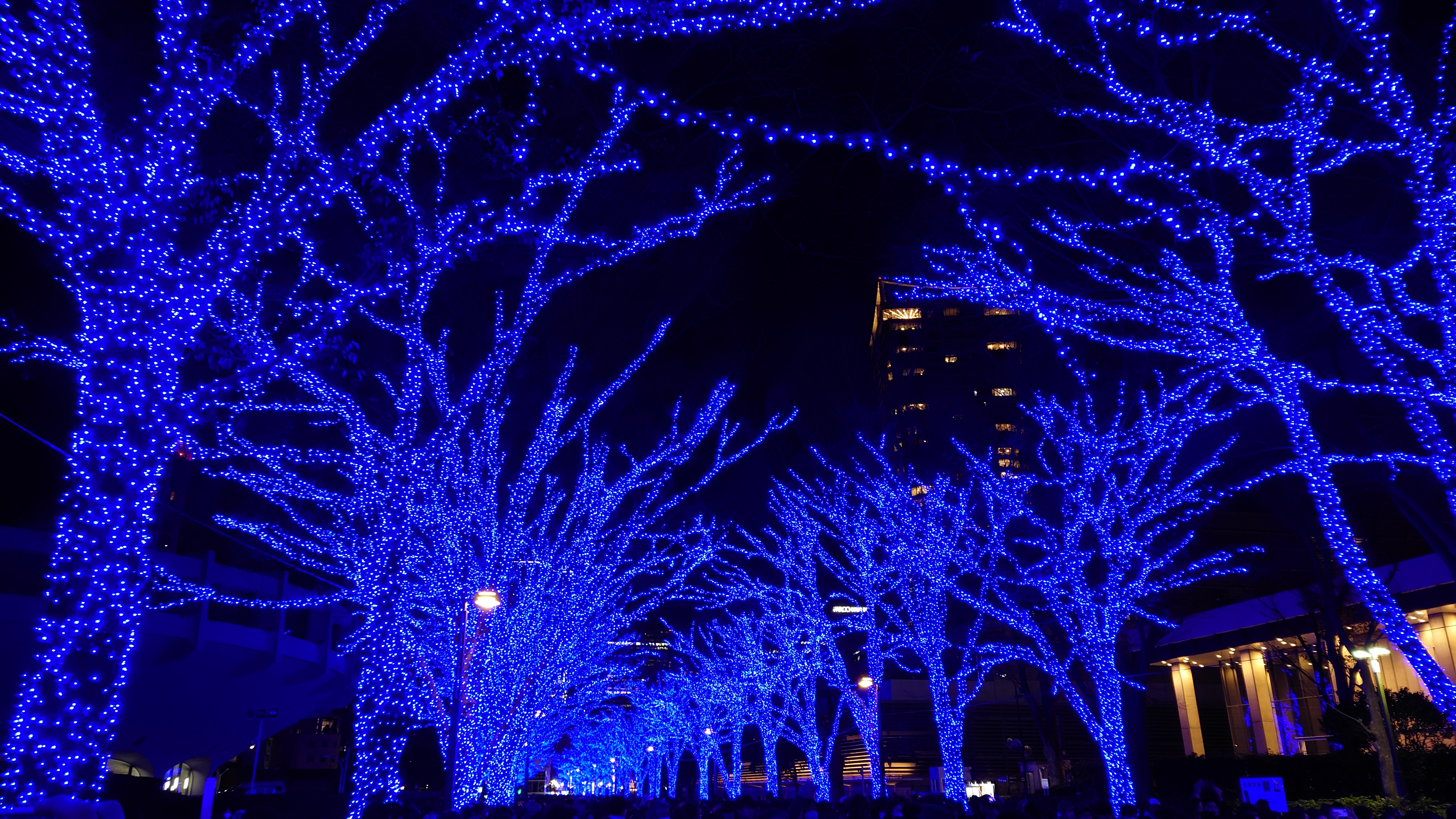 Christmas Eve…