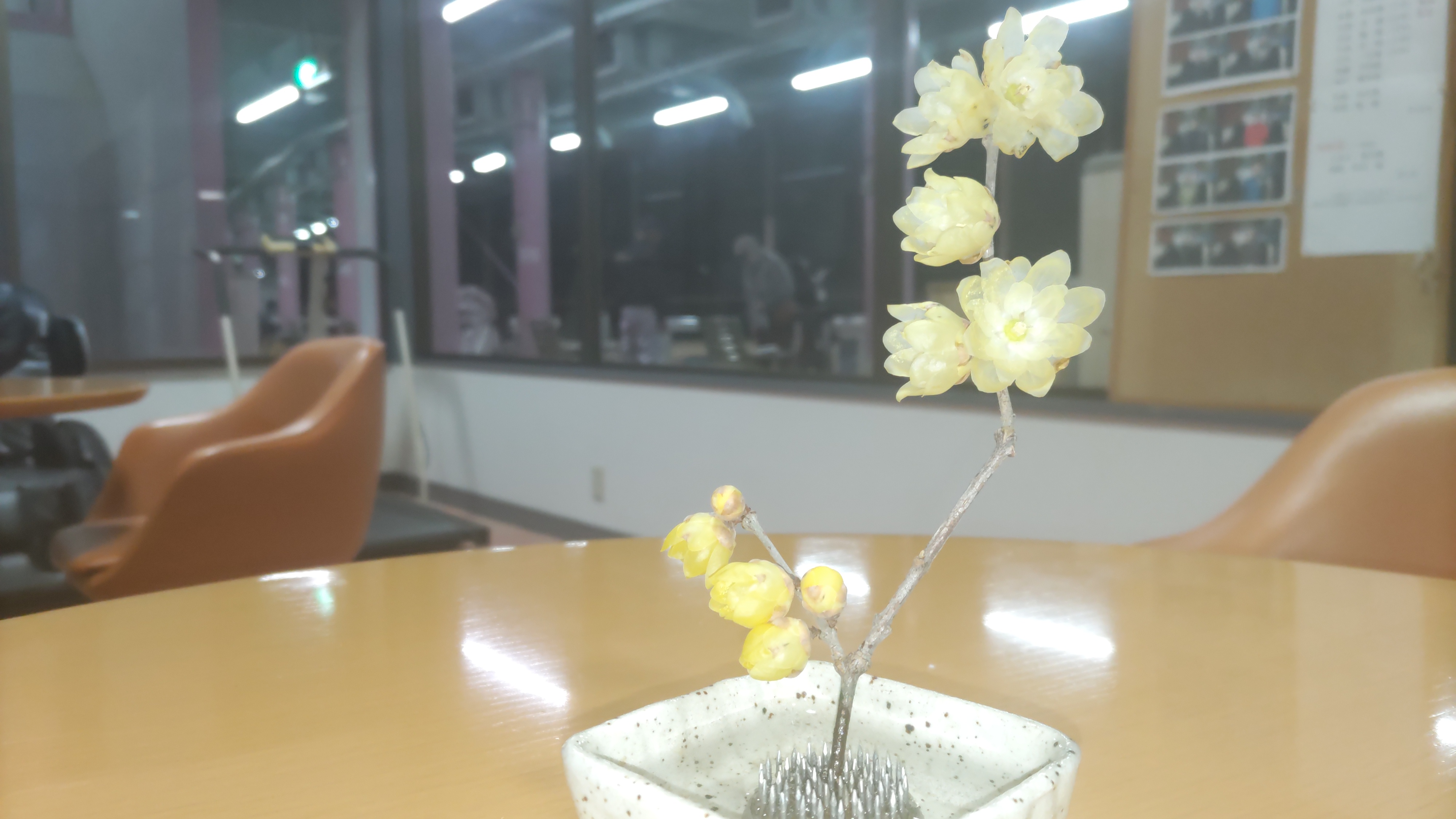 1月11日