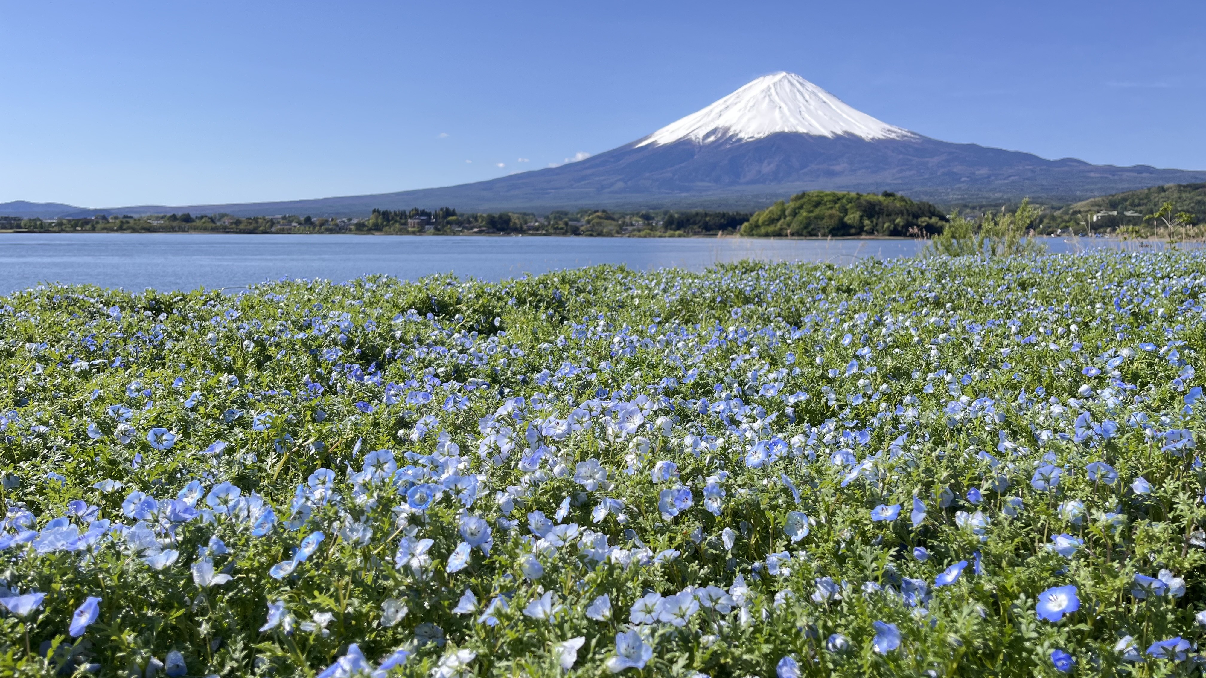 大石公園…