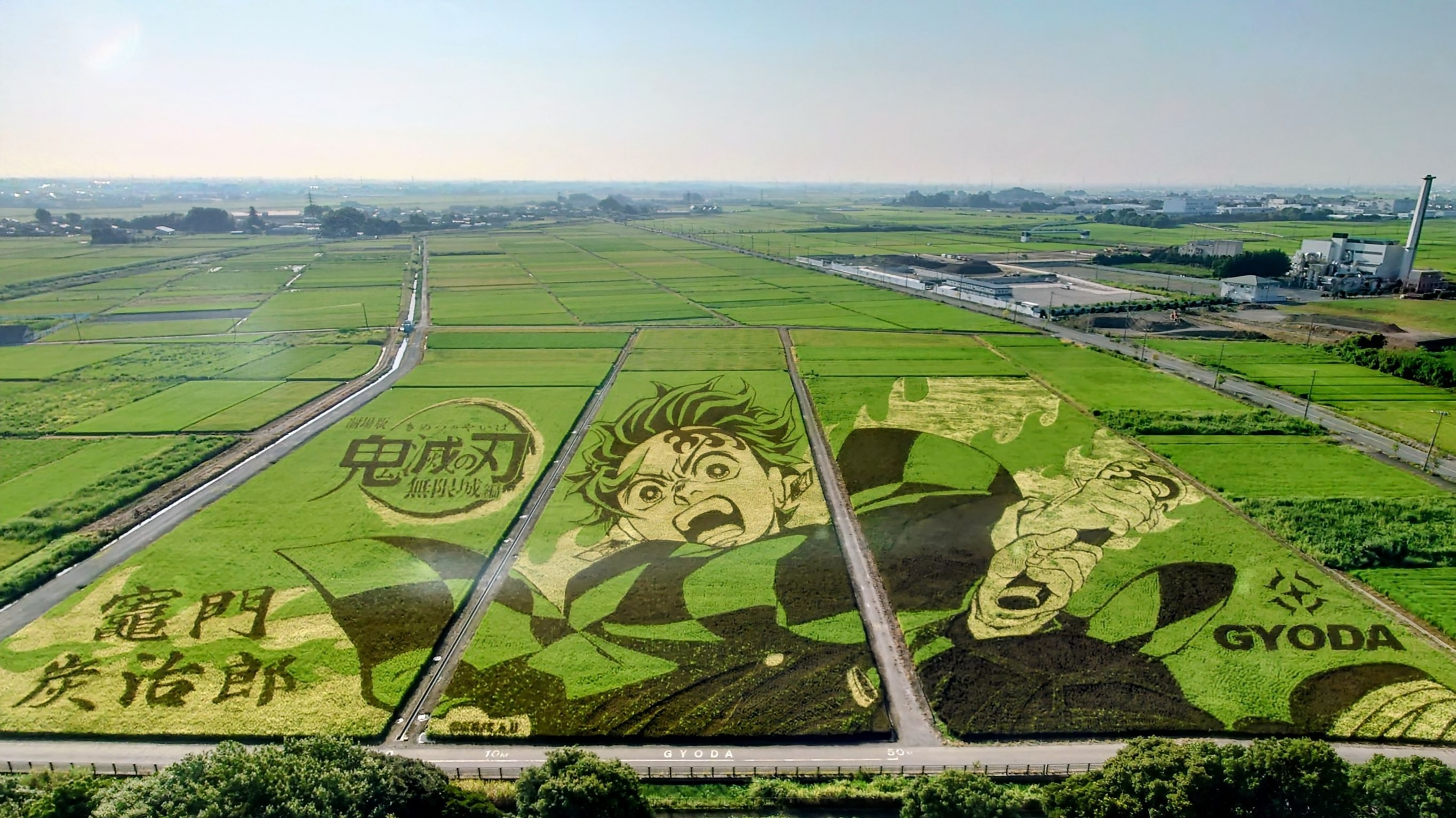 田んぼアート…