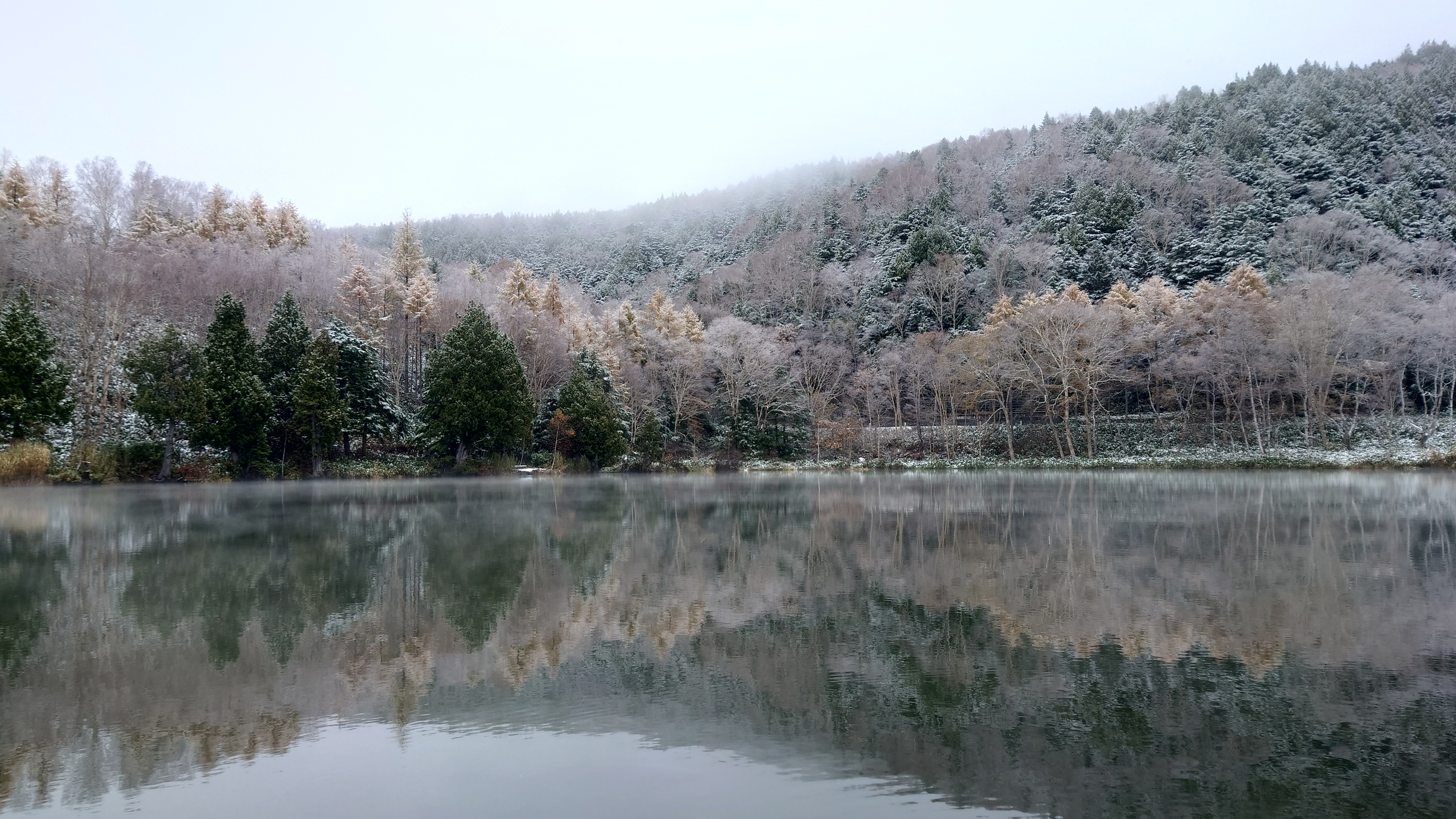 雪景色…