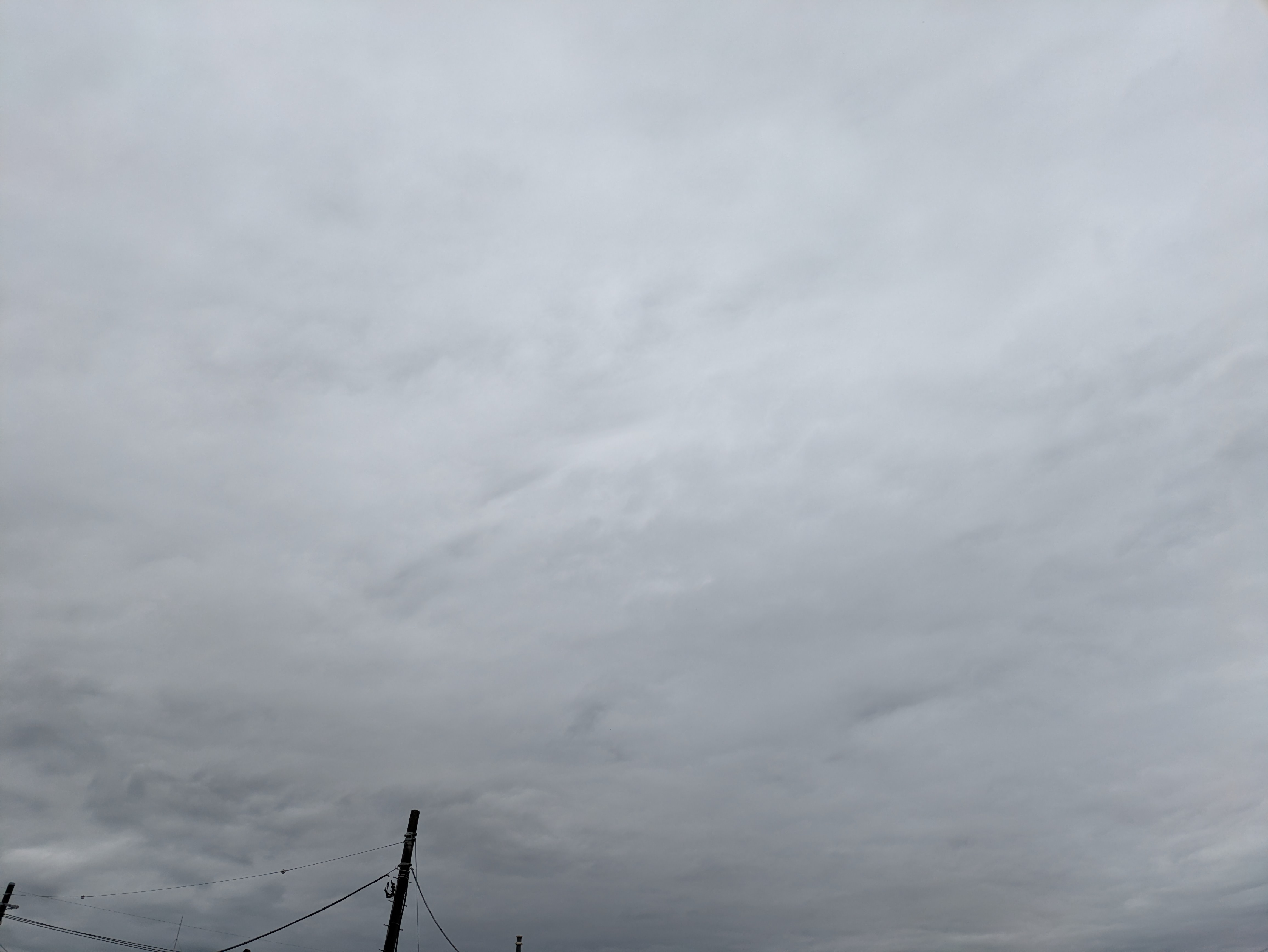 4月1日