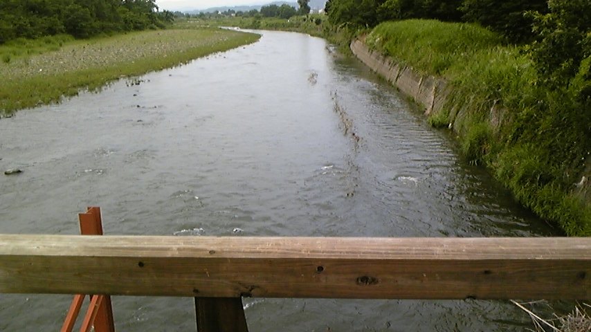 ２５日碓氷川　なかのり橋　