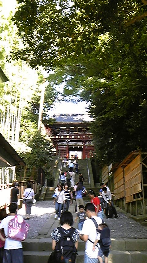 はちゃめちゃ静岡珍道中②