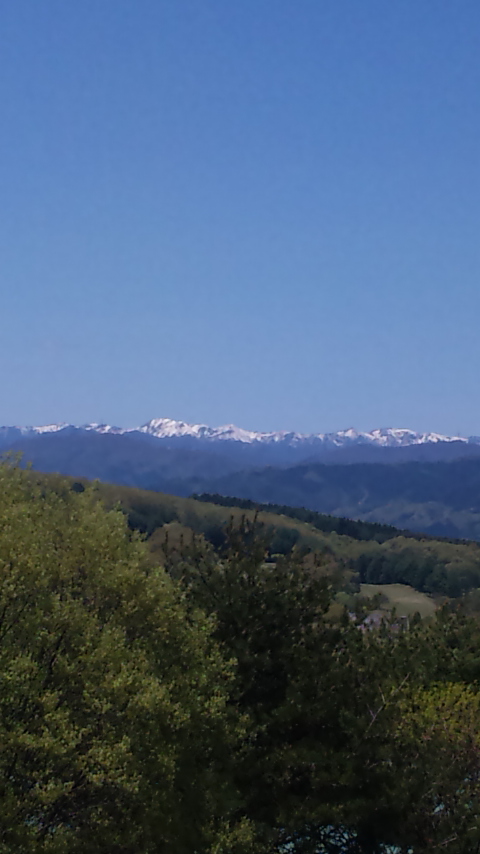 １７日「世界高血圧ﾃﾞｰ」「高血圧の日」健康第一です！
