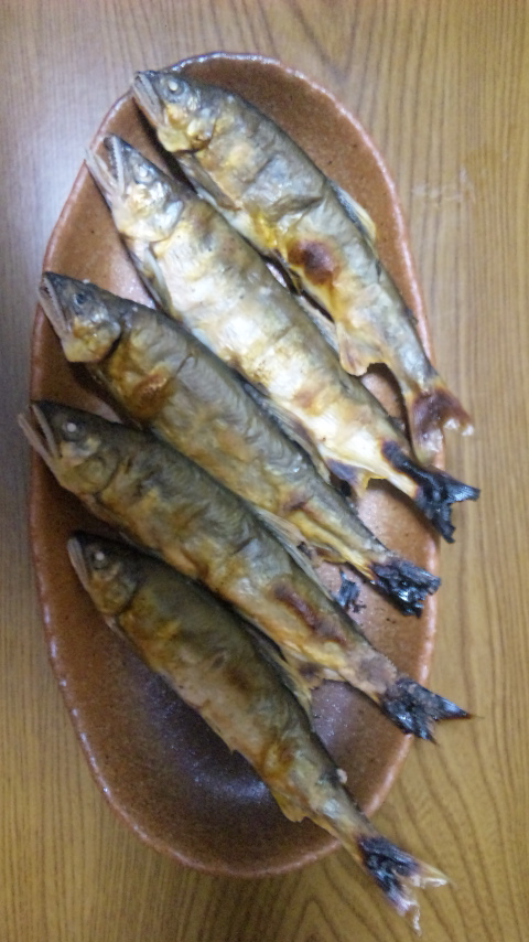 「愛酒の日」鮎の闘争心も草食系？