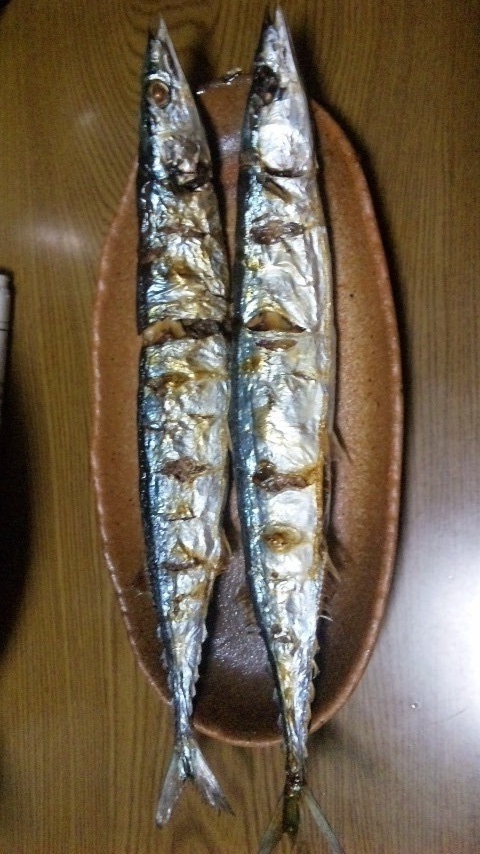 「イワシ（鰯）の日」季節的にはサンマでは？