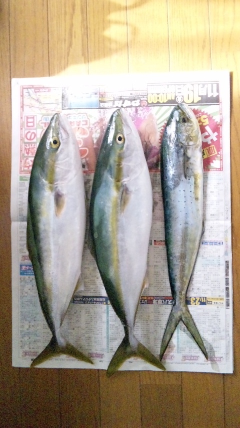 「毛皮の日」福鮎會ｰ海産部長、大漁！お見事！