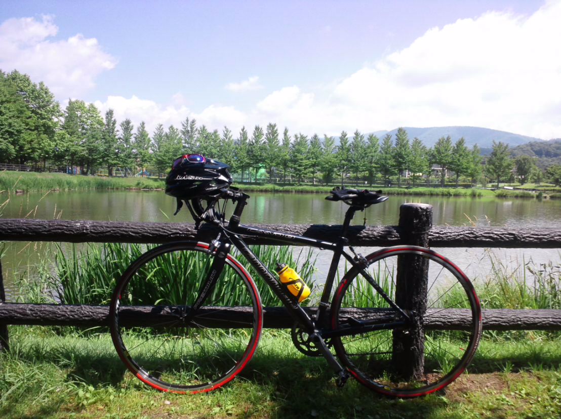 とりあえず避暑地へ逃げまして。