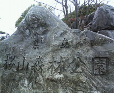 桜山森林公園