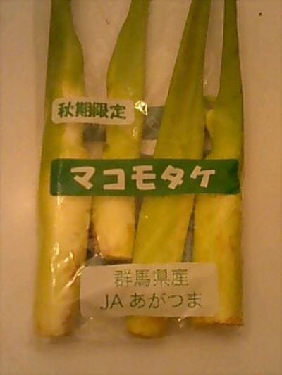 これなぁに？