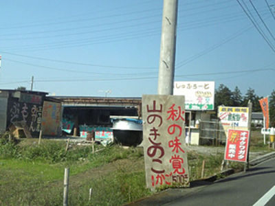 秋の味覚が沢山