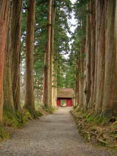 戸隠神社　心が洗われます。