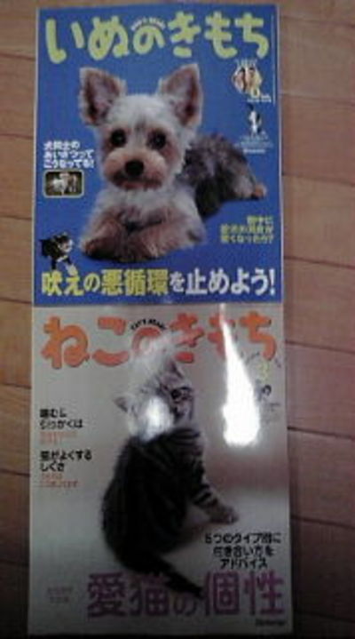 毎月